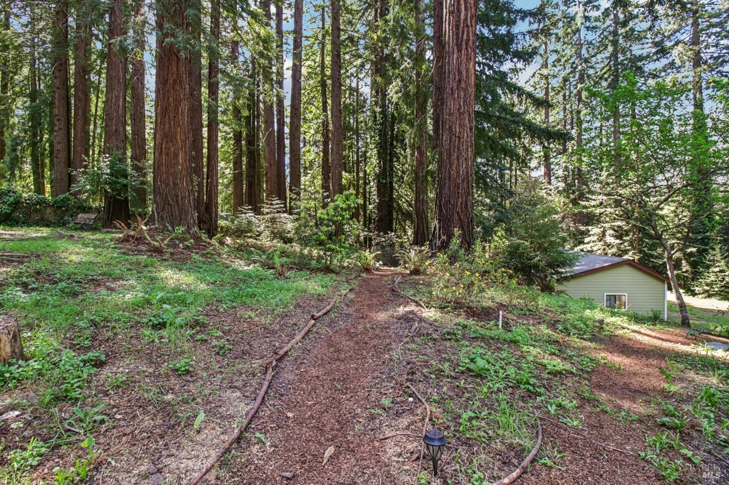 Detail Gallery Image 52 of 53 For 12480 Fiori Ln, Sebastopol,  CA 95472 - 3 Beds | 2/1 Baths