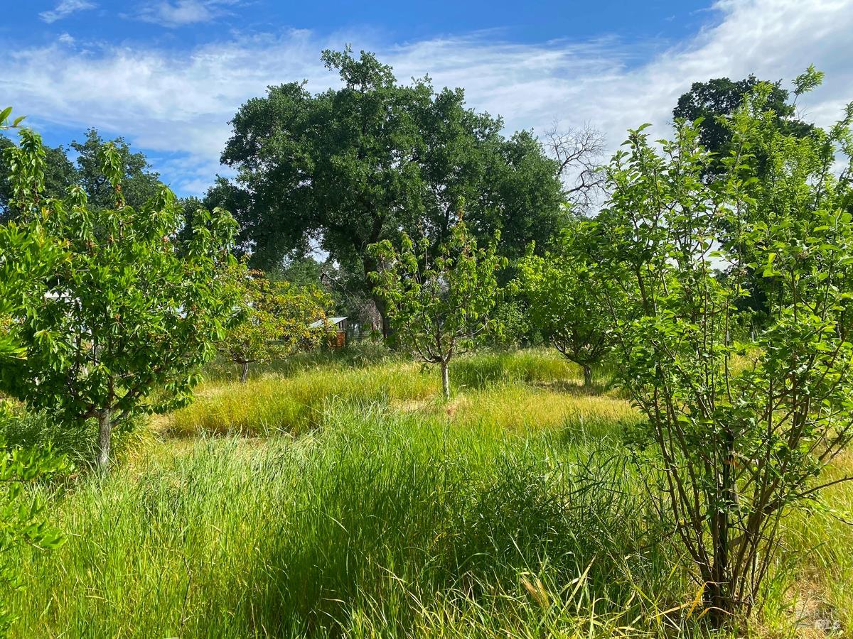 Detail Gallery Image 32 of 35 For 8600 Pleasants Valley Rd, Winters,  CA 95694 - – Beds | – Baths