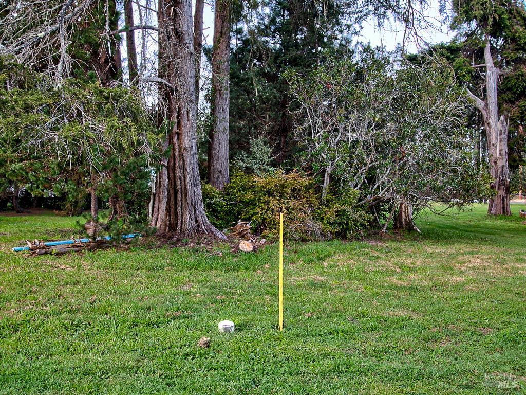 Detail Gallery Image 8 of 25 For 19100 Summers Ln, Fort Bragg,  CA 95437 - – Beds | – Baths