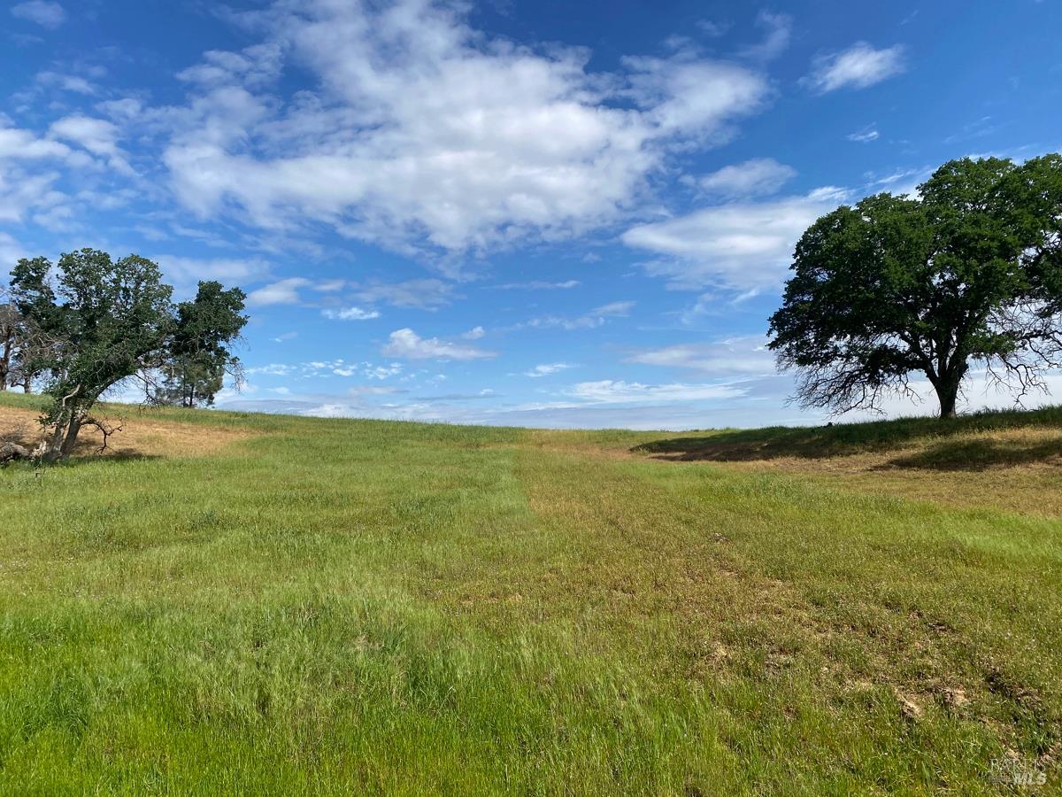 Detail Gallery Image 35 of 35 For 8600 Pleasants Valley Rd, Winters,  CA 95694 - – Beds | – Baths