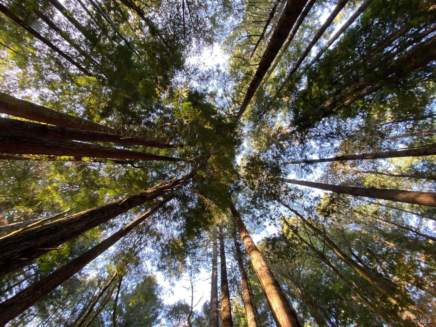 Front Image Thumbnail for BA326027278