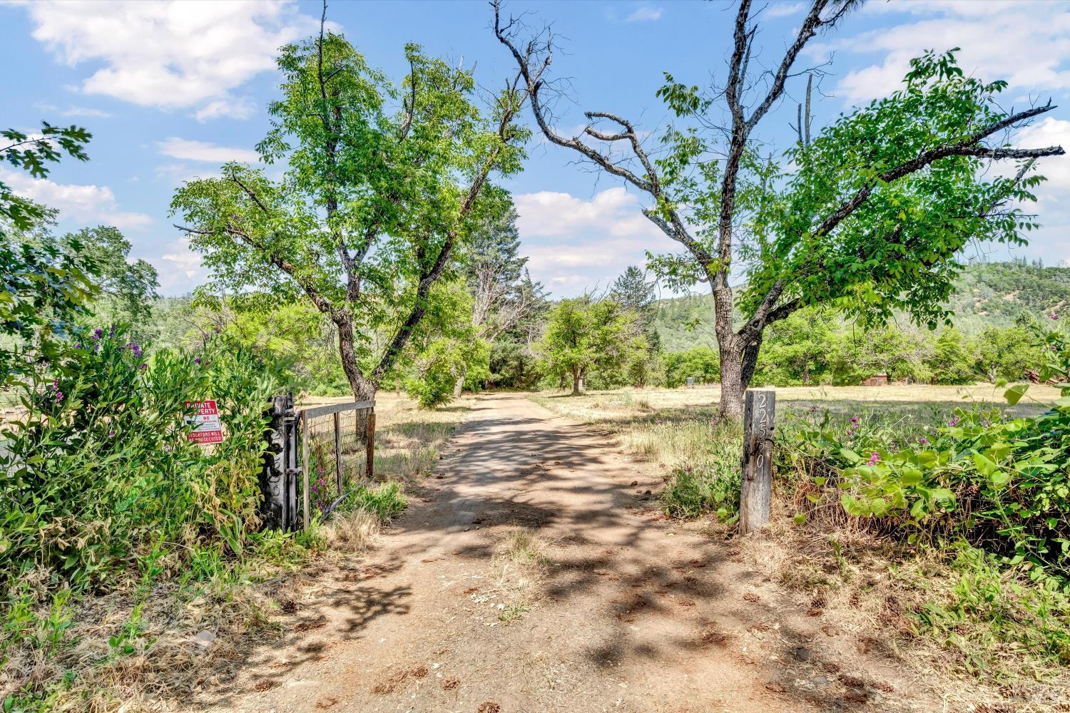 Detail Gallery Image 2 of 38 For 22550 Shady Grove Rd, Middletown,  CA 95461 - 2 Beds | 1 Baths