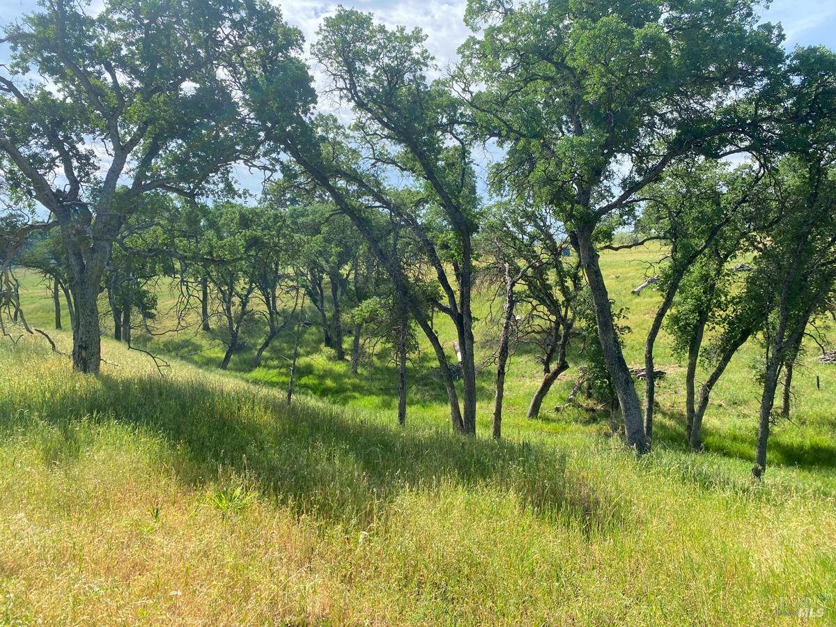 Detail Gallery Image 33 of 35 For 8600 Pleasants Valley Rd, Winters,  CA 95694 - – Beds | – Baths