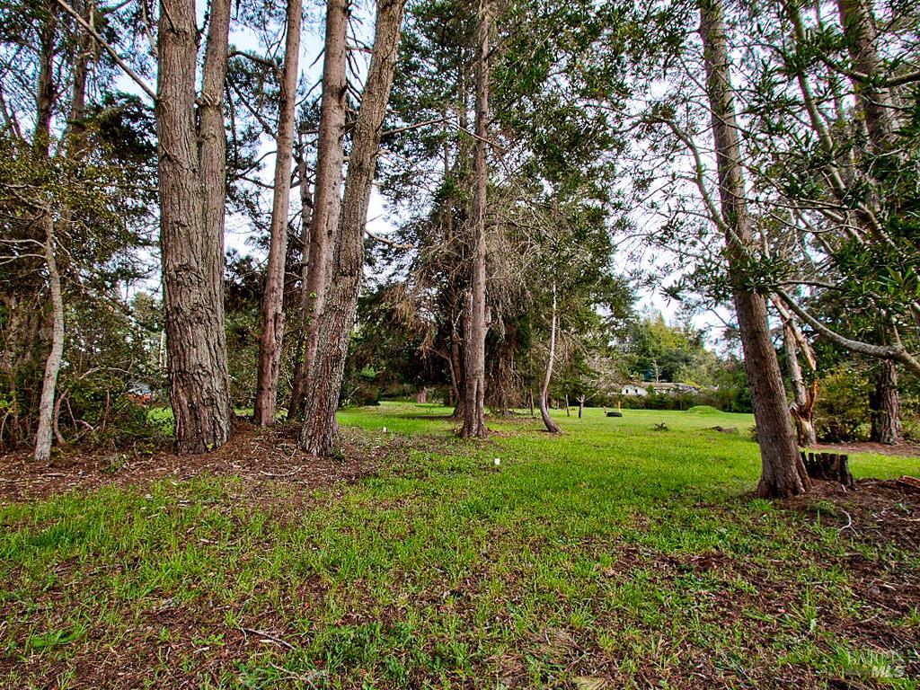 Detail Gallery Image 12 of 25 For 19100 Summers Ln, Fort Bragg,  CA 95437 - – Beds | – Baths