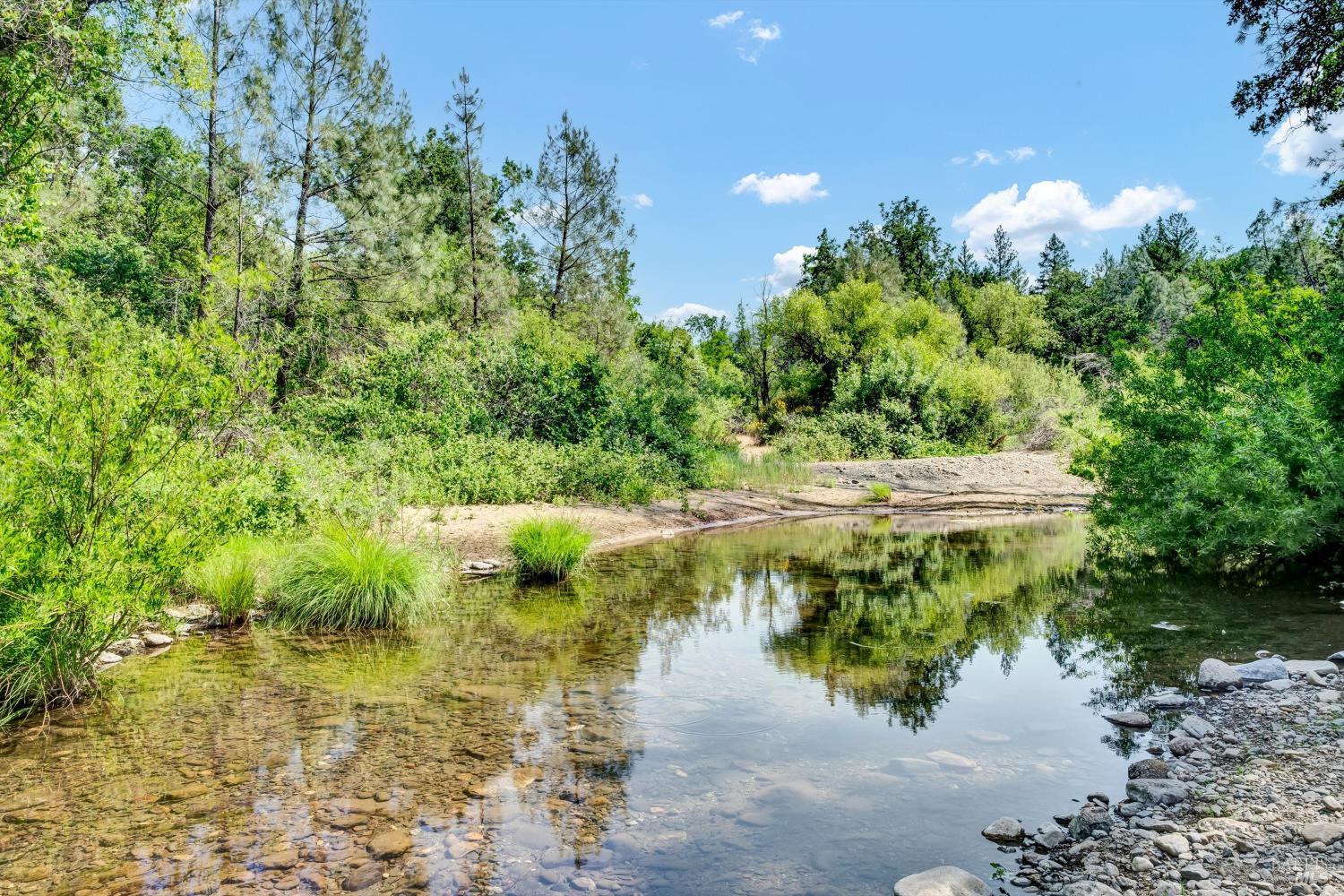 Detail Gallery Image 4 of 38 For 22550 Shady Grove Rd, Middletown,  CA 95461 - 2 Beds | 1 Baths