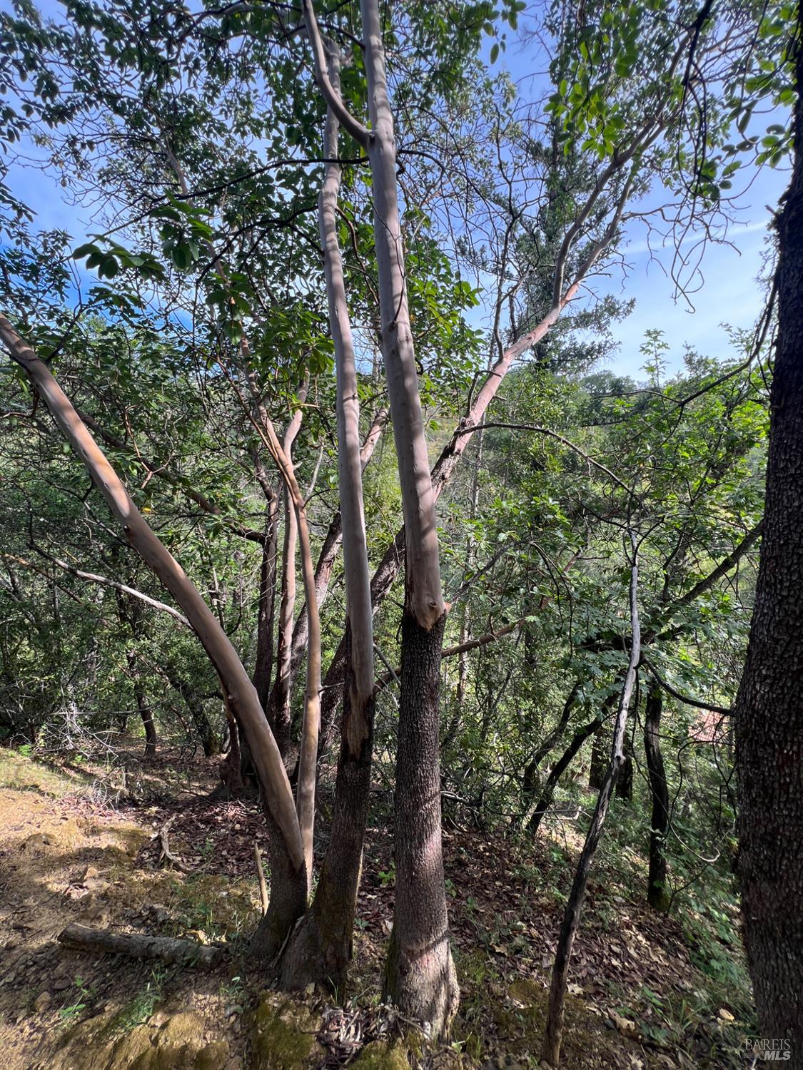 Detail Gallery Image 57 of 58 For 321 Portofino Way, Cloverdale,  CA 95425 - 4 Beds | 3 Baths