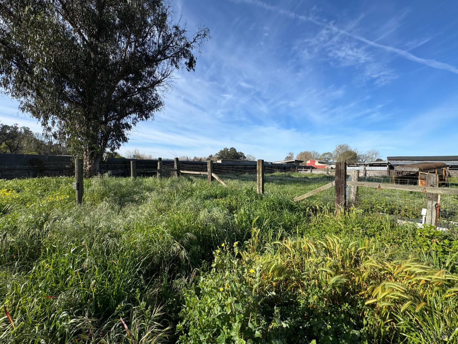 Detail Gallery Image 24 of 26 For 4553 Stony Point Rd, Santa Rosa,  CA 95407 - 3 Beds | 1 Baths