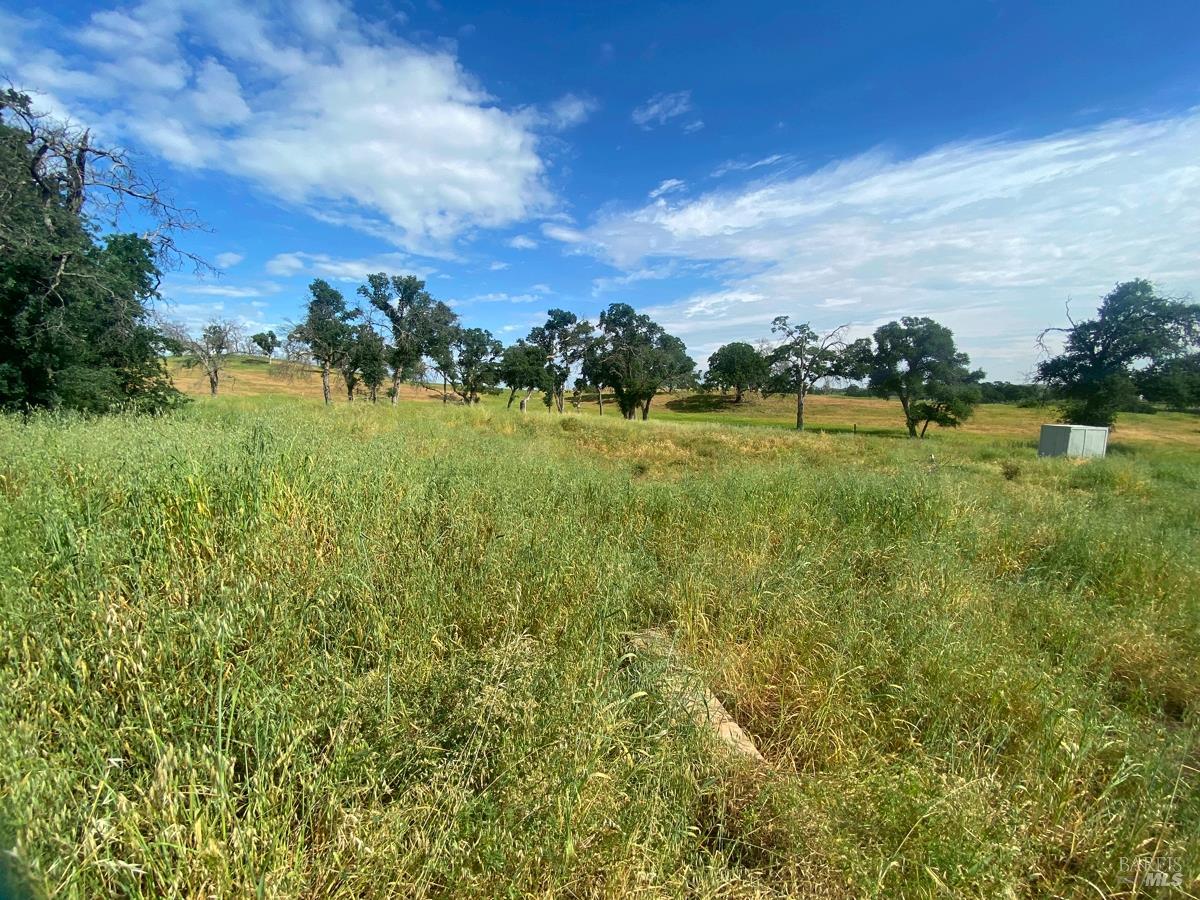 Detail Gallery Image 34 of 35 For 8600 Pleasants Valley Rd, Winters,  CA 95694 - – Beds | – Baths