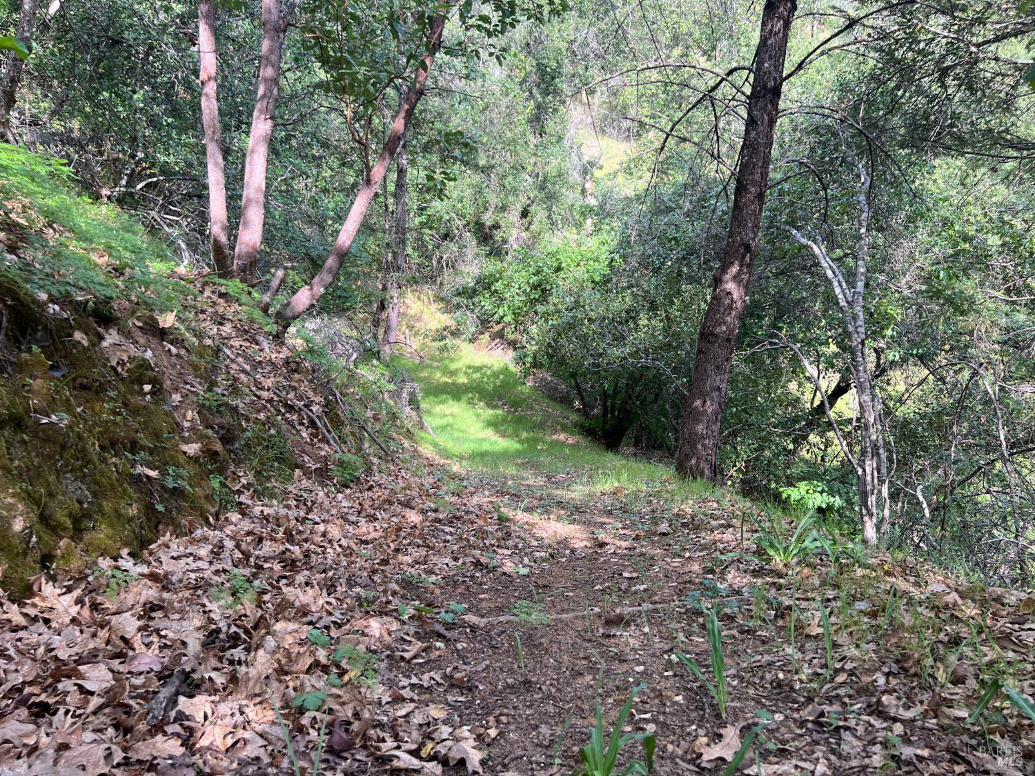 Detail Gallery Image 54 of 58 For 321 Portofino Way, Cloverdale,  CA 95425 - 4 Beds | 3 Baths