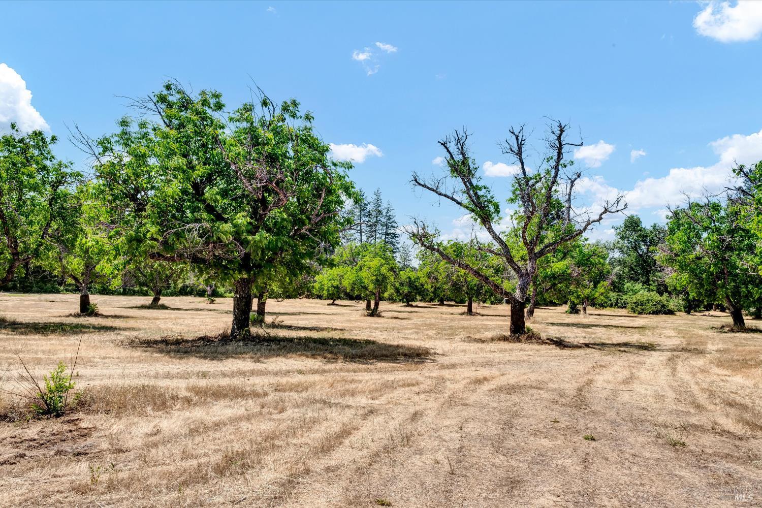 Detail Gallery Image 32 of 38 For 22550 Shady Grove Rd, Middletown,  CA 95461 - 2 Beds | 1 Baths
