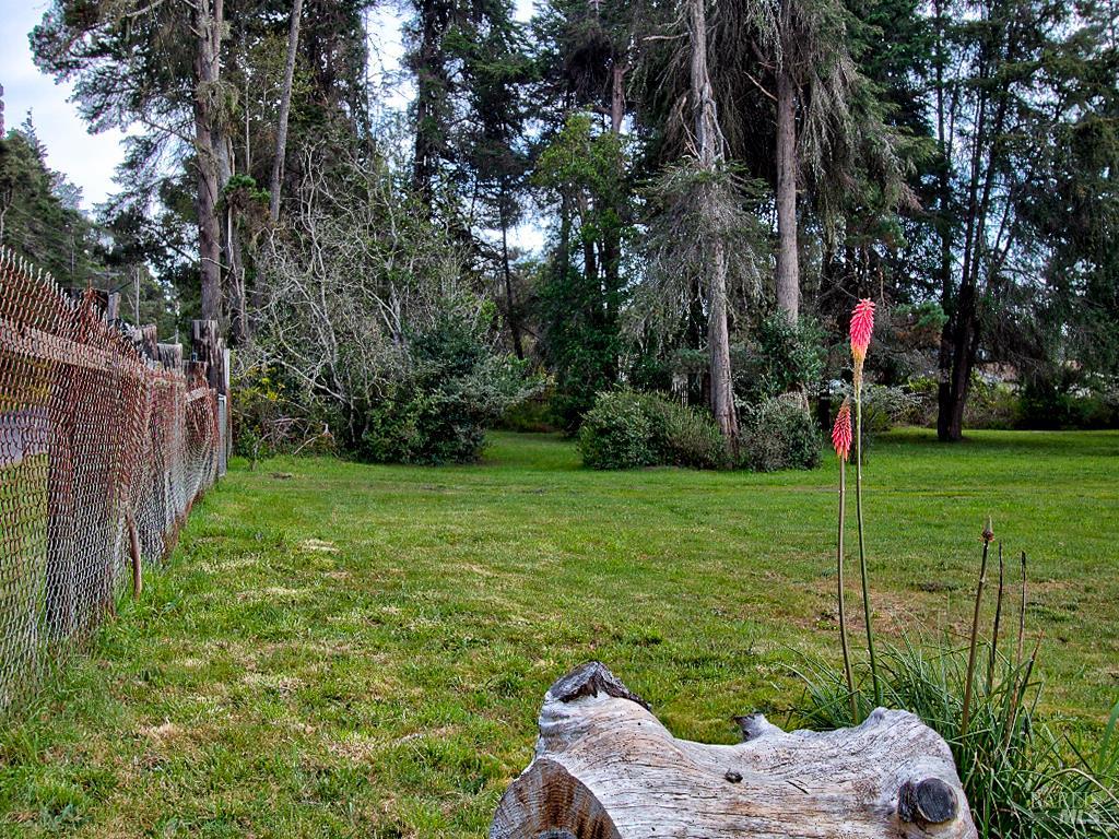 Detail Gallery Image 19 of 25 For 19100 Summers Ln, Fort Bragg,  CA 95437 - – Beds | – Baths