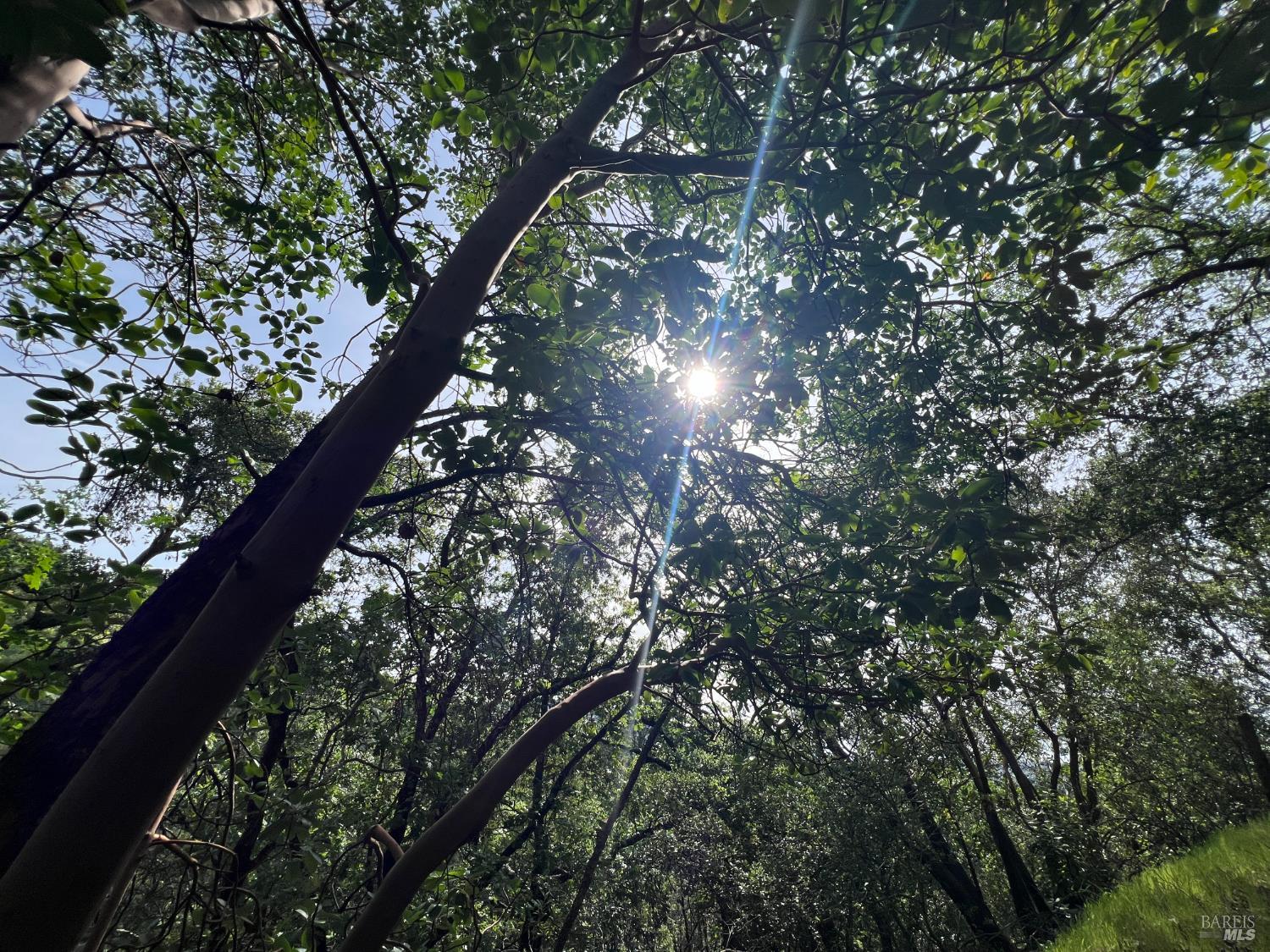 Detail Gallery Image 56 of 58 For 321 Portofino Way, Cloverdale,  CA 95425 - 4 Beds | 3 Baths