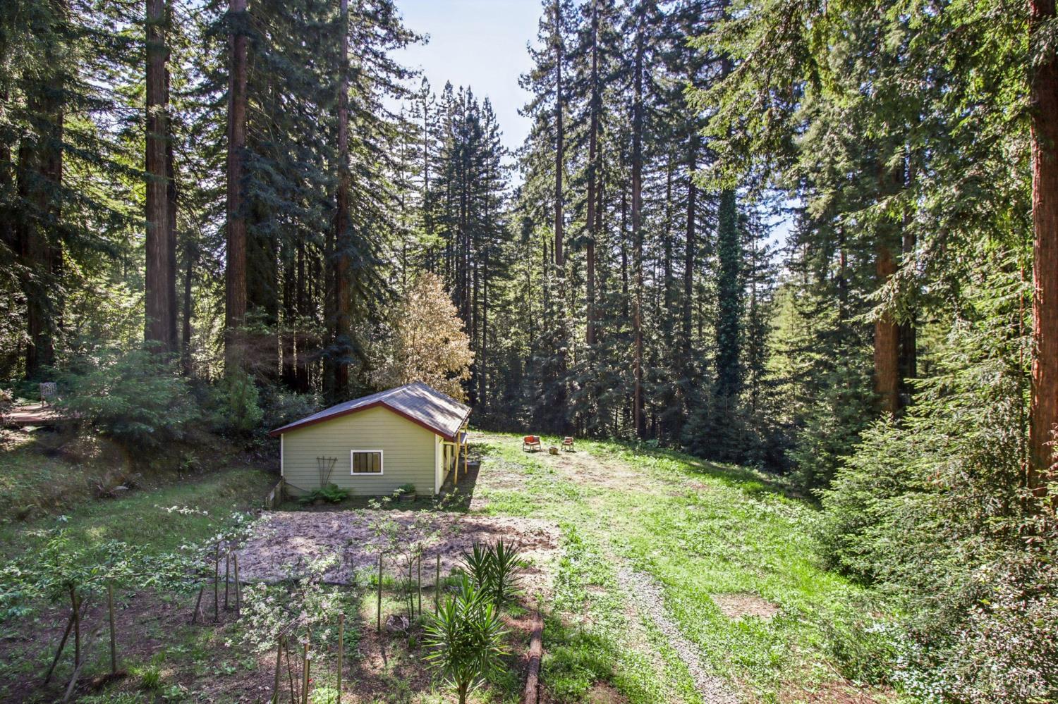 Detail Gallery Image 46 of 53 For 12480 Fiori Ln, Sebastopol,  CA 95472 - 3 Beds | 2/1 Baths