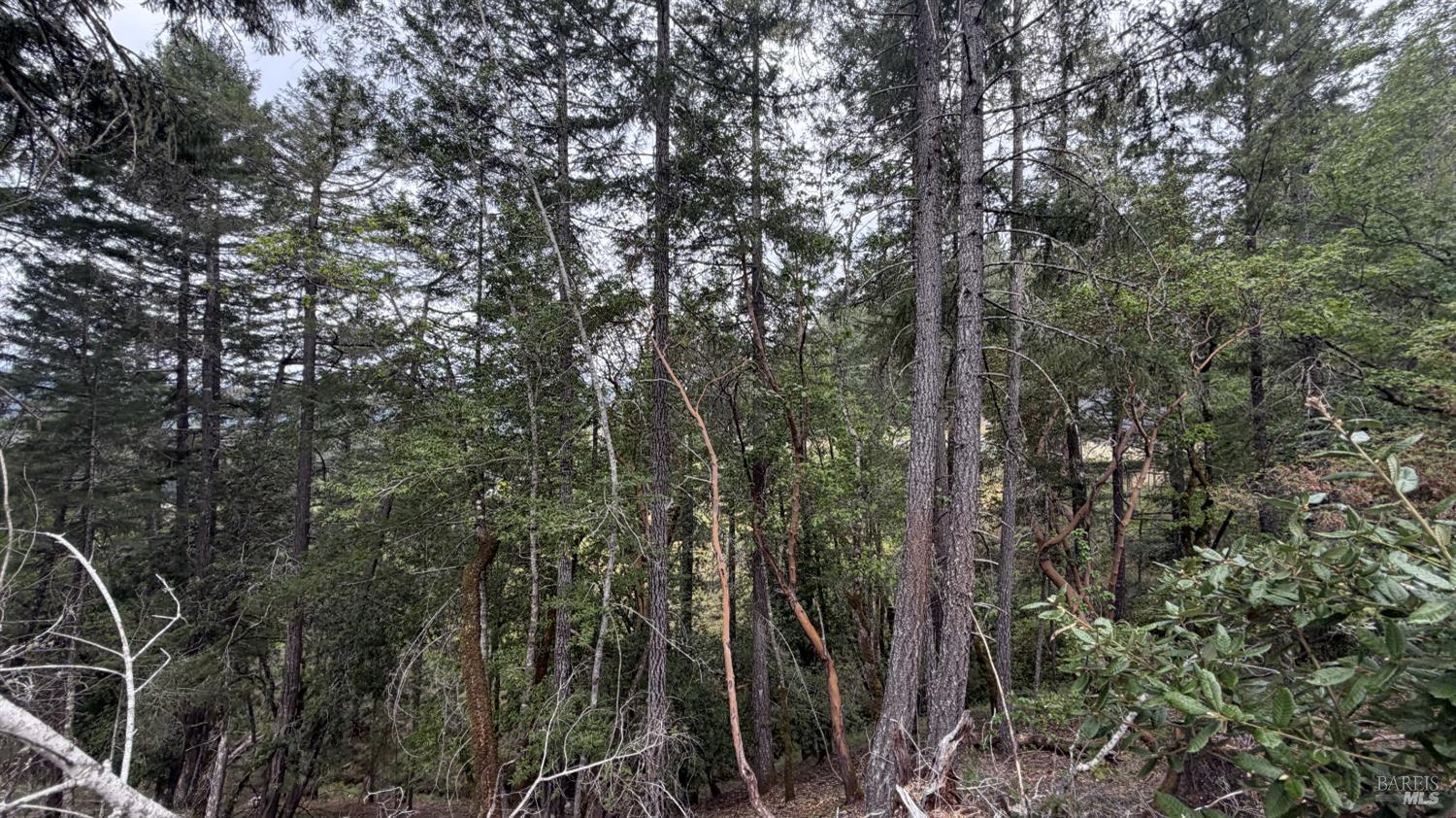 Detail Gallery Image 3 of 3 For 25648 Madrone Dr, Willits,  CA 95490 - – Beds | – Baths