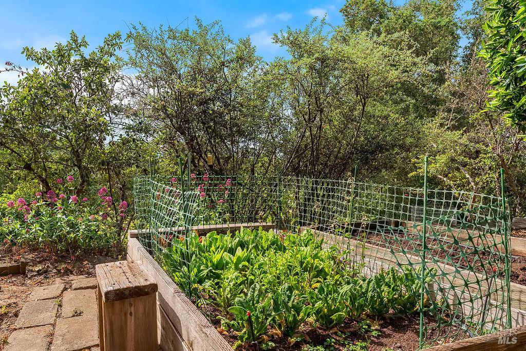 Detail Gallery Image 47 of 72 For 1212 N Fitch Mountain Rd, Healdsburg,  CA 95448 - 5 Beds | 3 Baths