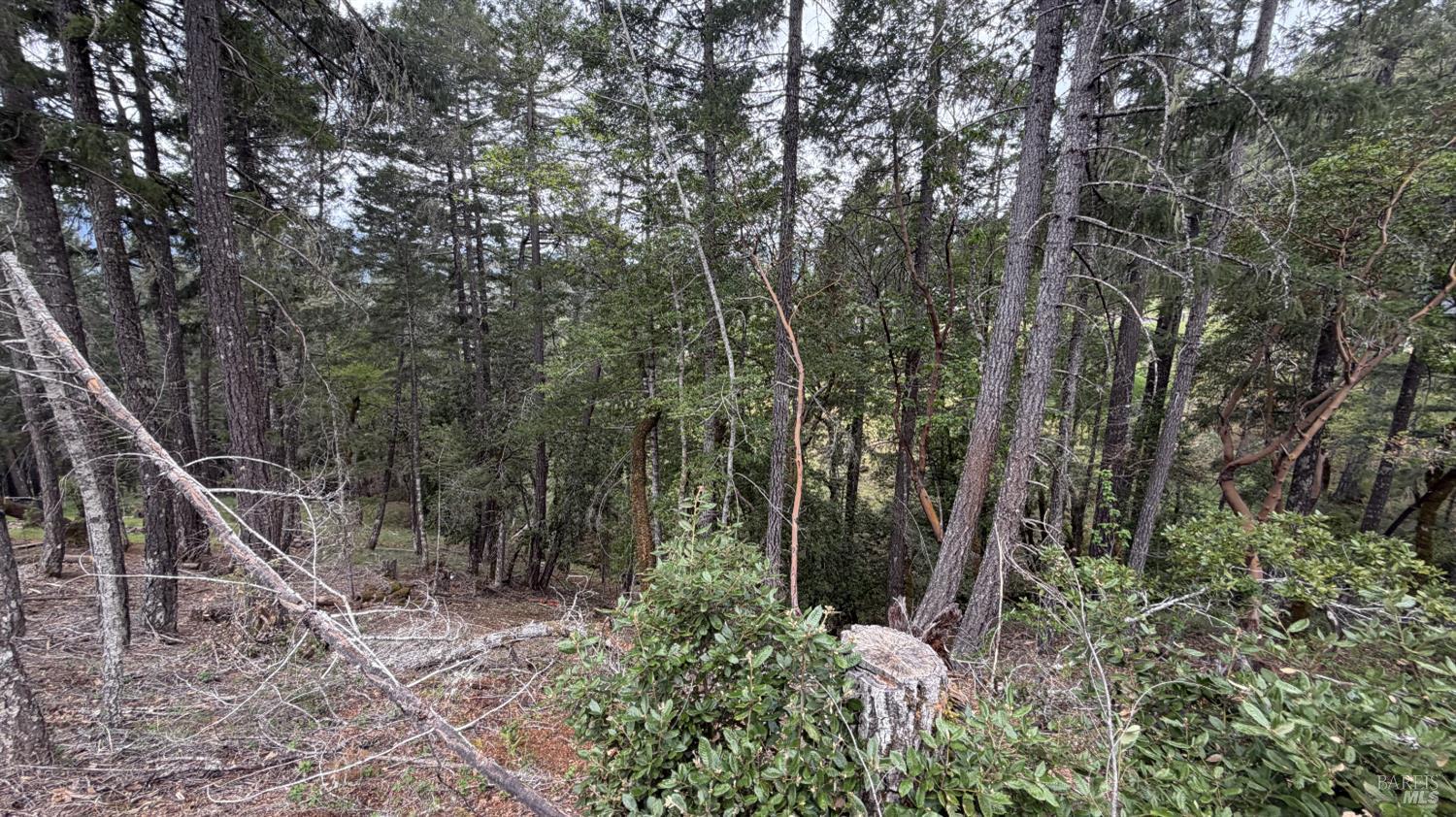 Front Image Thumbnail for BA326027486