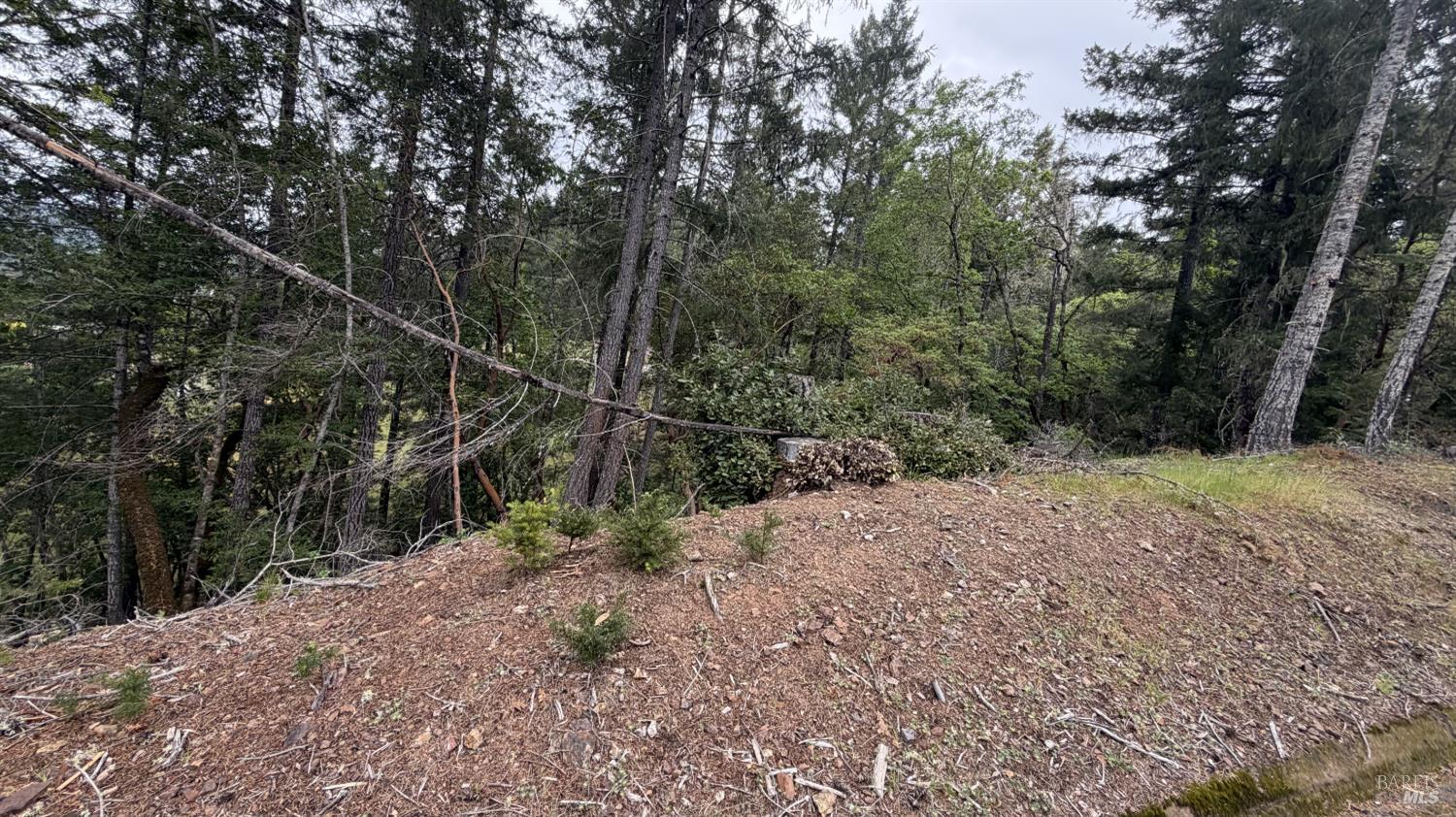 Detail Gallery Image 2 of 3 For 25648 Madrone Dr, Willits,  CA 95490 - – Beds | – Baths