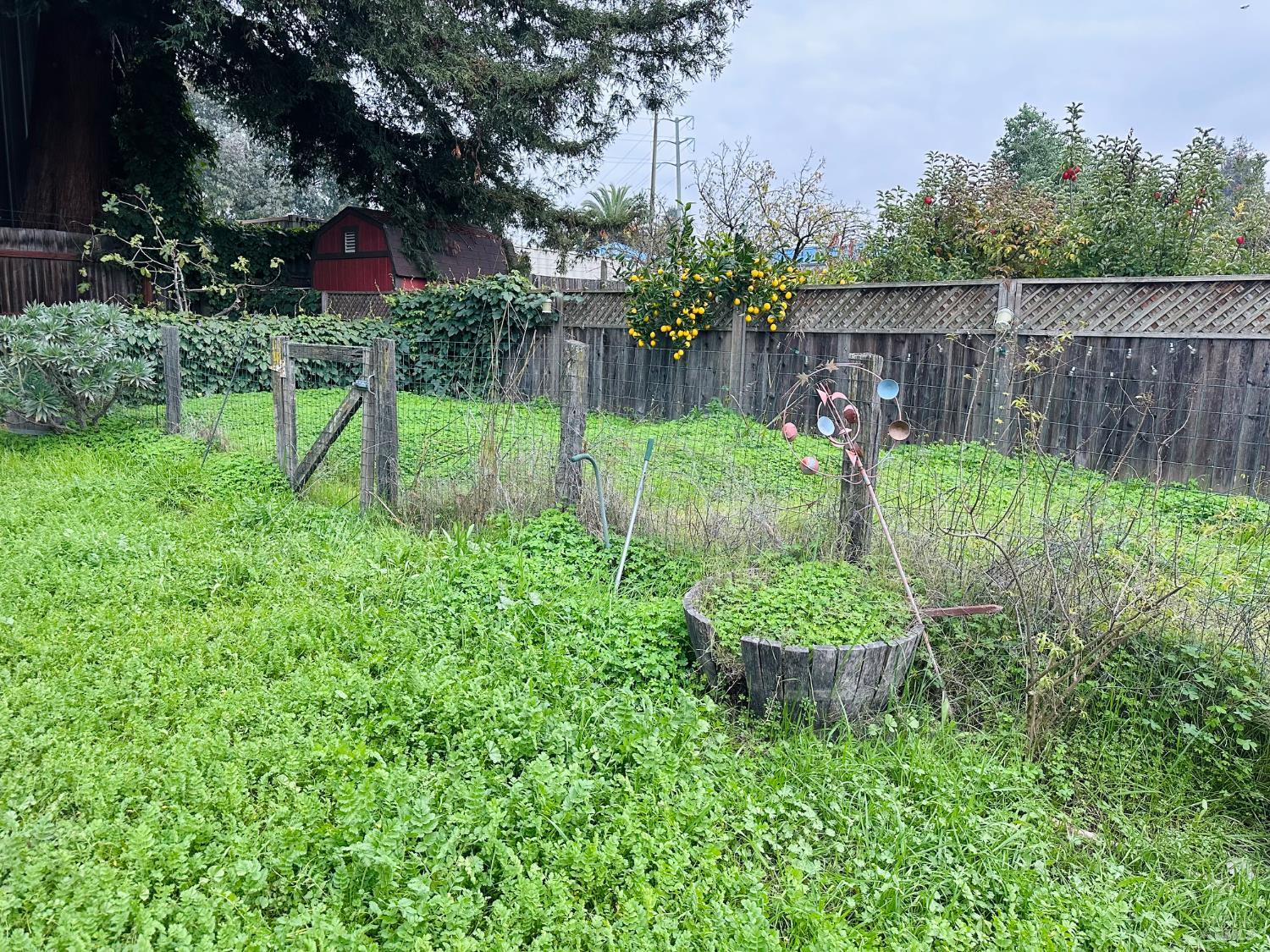 Detail Gallery Image 28 of 33 For 108 Pierson St, Santa Rosa,  CA 95401 - 2 Beds | 1 Baths