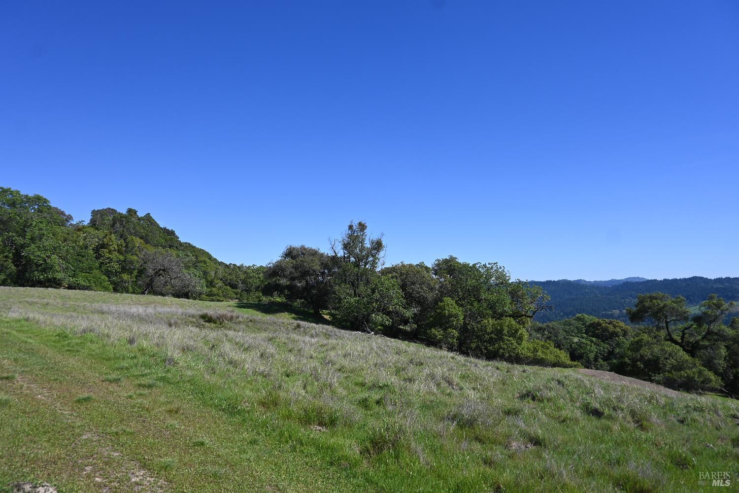 Detail Gallery Image 16 of 30 For 24051 Fig Tree Ln, Yorkville,  CA 95494 - – Beds | – Baths