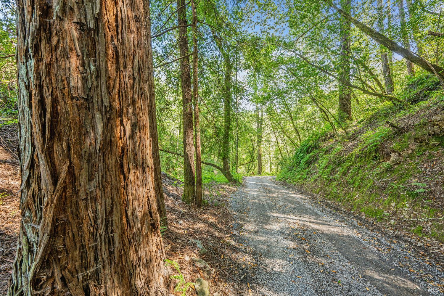 Detail Gallery Image 45 of 51 For 1311 W Dry Creek Rd, Healdsburg,  CA 95448 - 2 Beds | 1/1 Baths