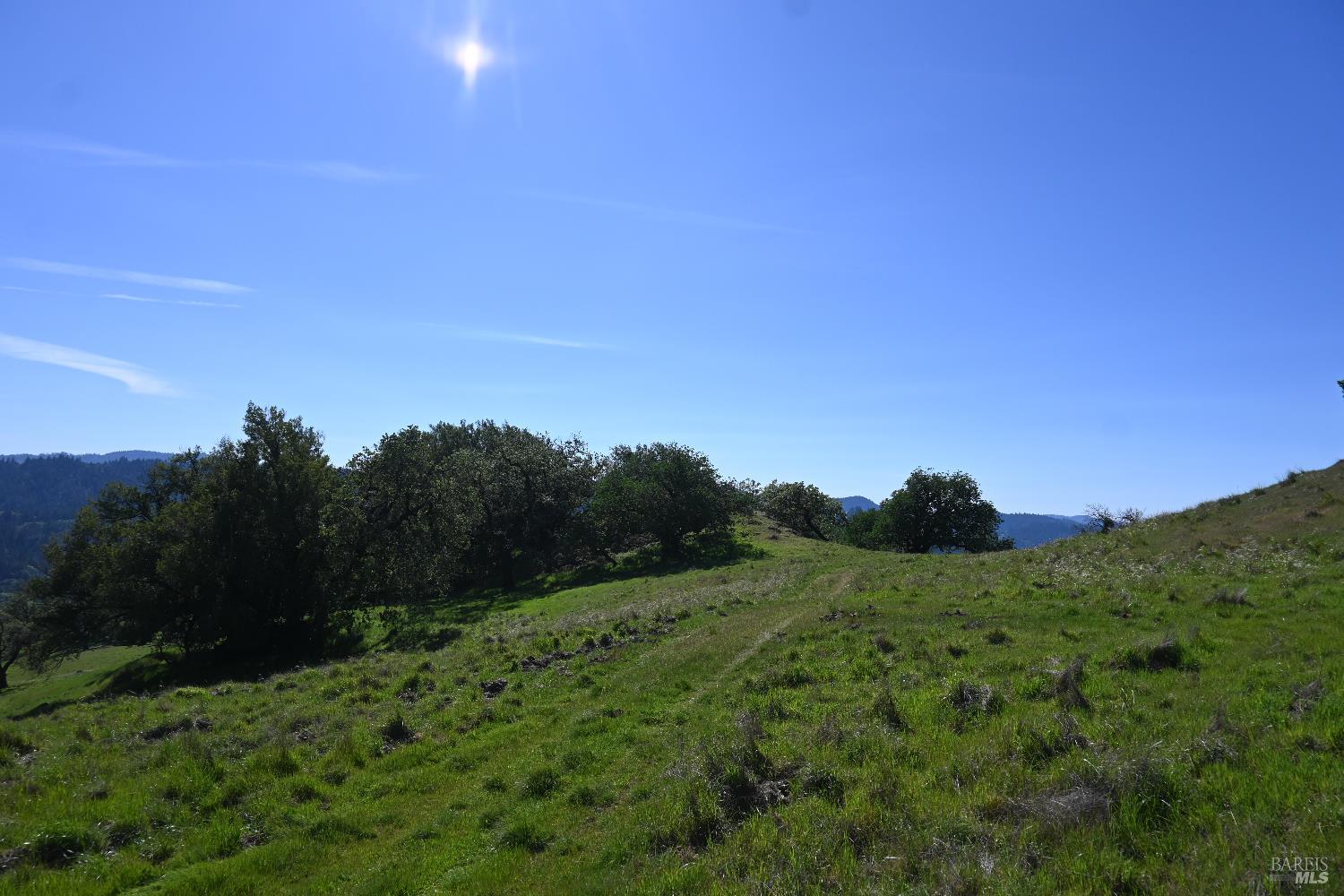 Detail Gallery Image 13 of 30 For 24051 Fig Tree Ln, Yorkville,  CA 95494 - – Beds | – Baths