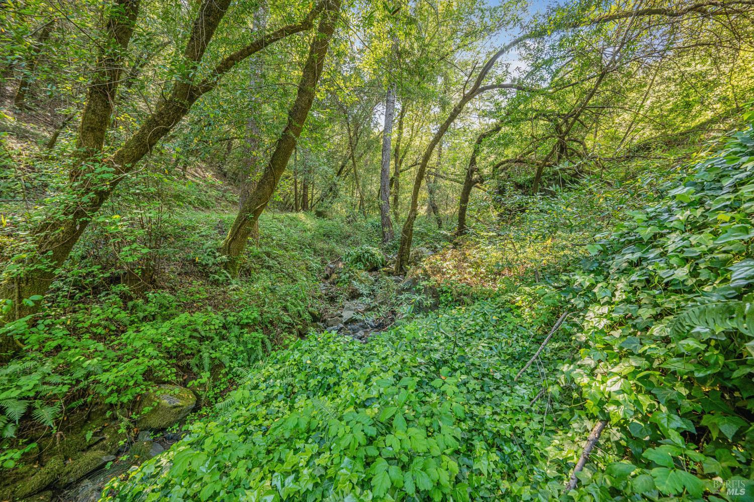 Detail Gallery Image 32 of 51 For 1311 W Dry Creek Rd, Healdsburg,  CA 95448 - 2 Beds | 1/1 Baths