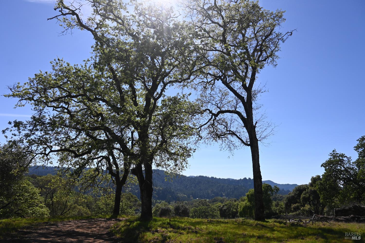 Detail Gallery Image 10 of 30 For 24051 Fig Tree Ln, Yorkville,  CA 95494 - – Beds | – Baths
