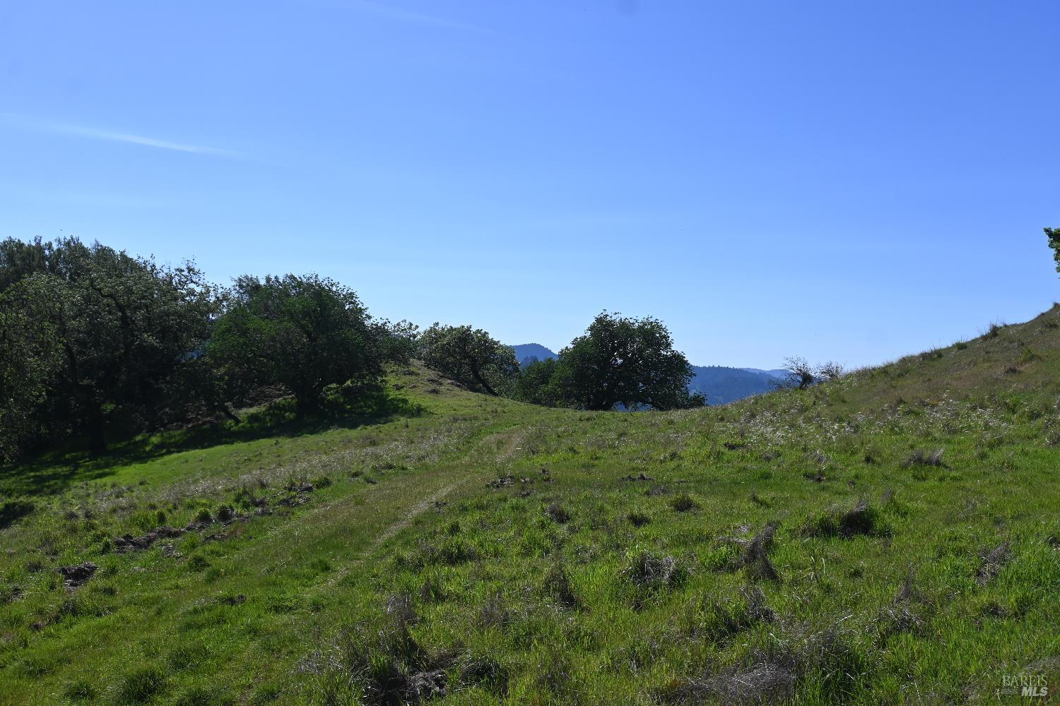 Detail Gallery Image 12 of 30 For 24051 Fig Tree Ln, Yorkville,  CA 95494 - – Beds | – Baths