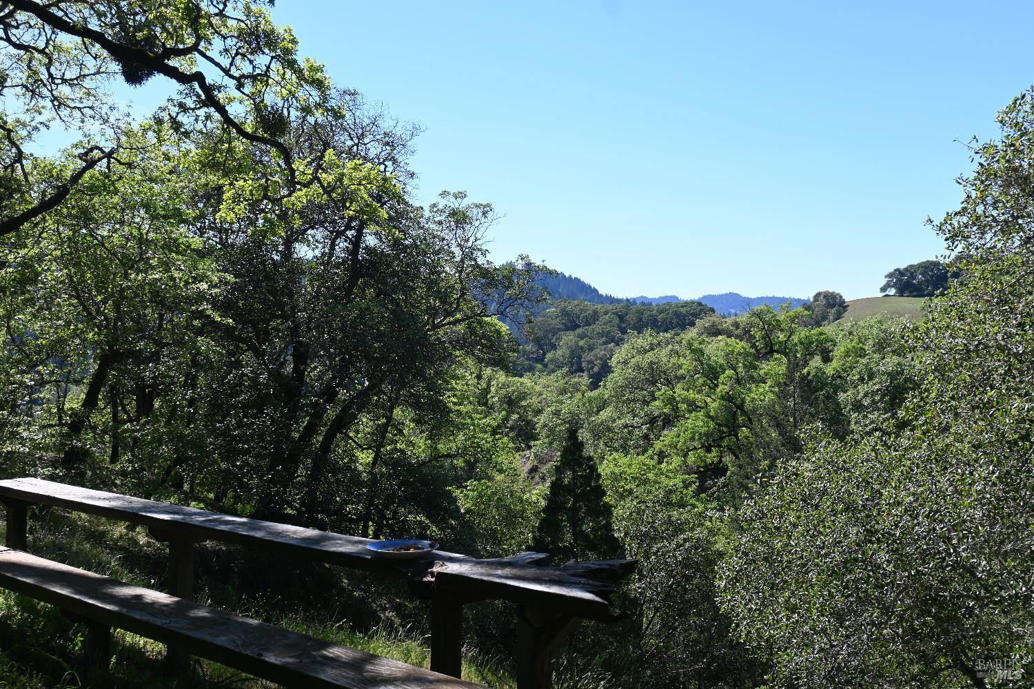 Detail Gallery Image 5 of 30 For 24051 Fig Tree Ln, Yorkville,  CA 95494 - – Beds | – Baths