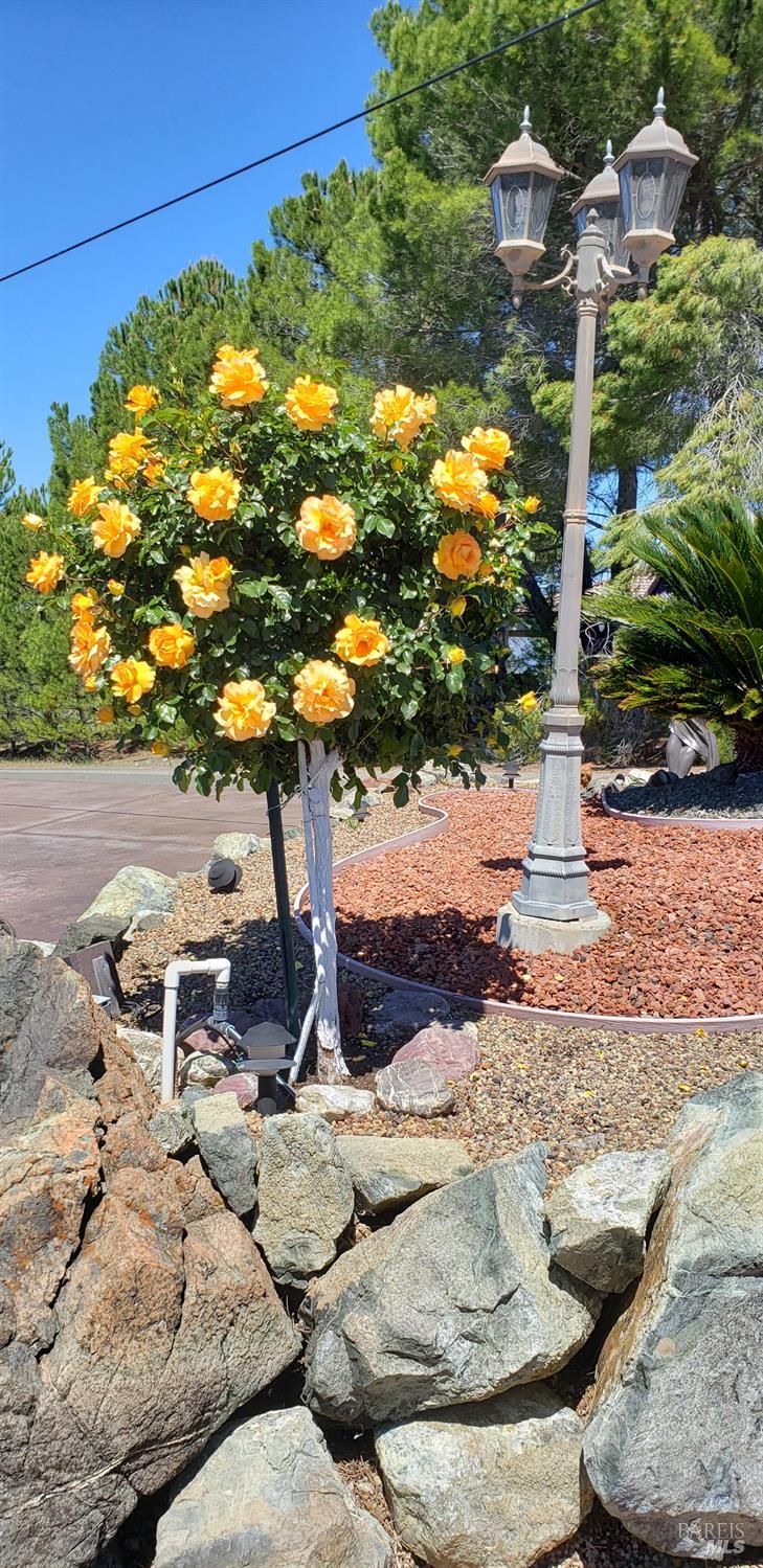 Detail Gallery Image 90 of 99 For 425 Lake Vista Dr, Lakeport,  CA 95453 - 3 Beds | 3/2 Baths