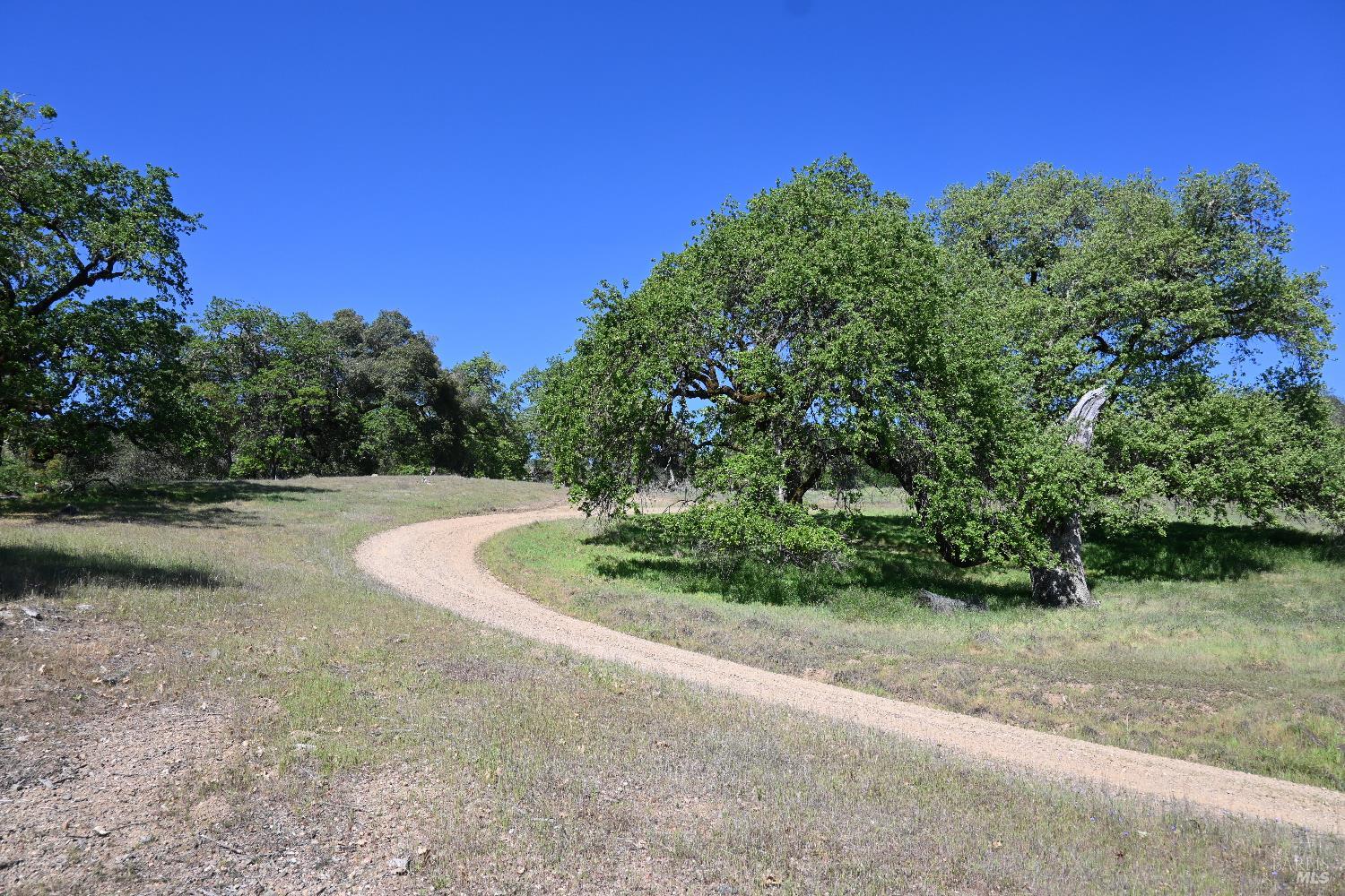 Detail Gallery Image 9 of 30 For 24051 Fig Tree Ln, Yorkville,  CA 95494 - – Beds | – Baths