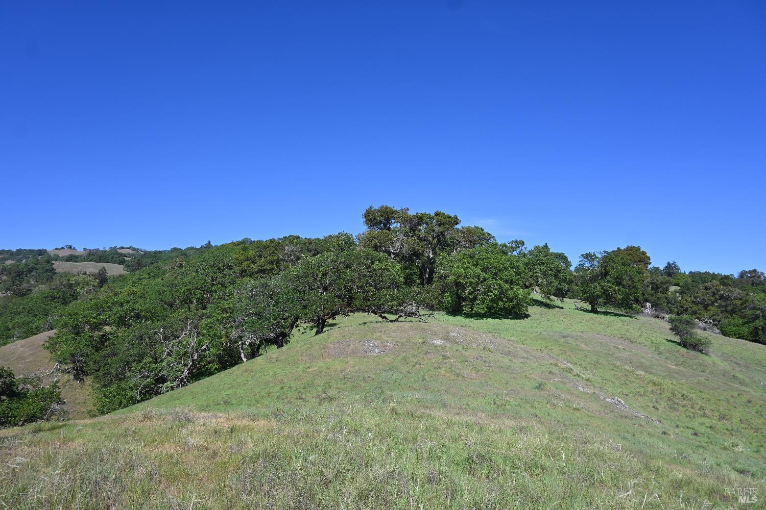 Detail Gallery Image 17 of 30 For 24051 Fig Tree Ln, Yorkville,  CA 95494 - – Beds | – Baths