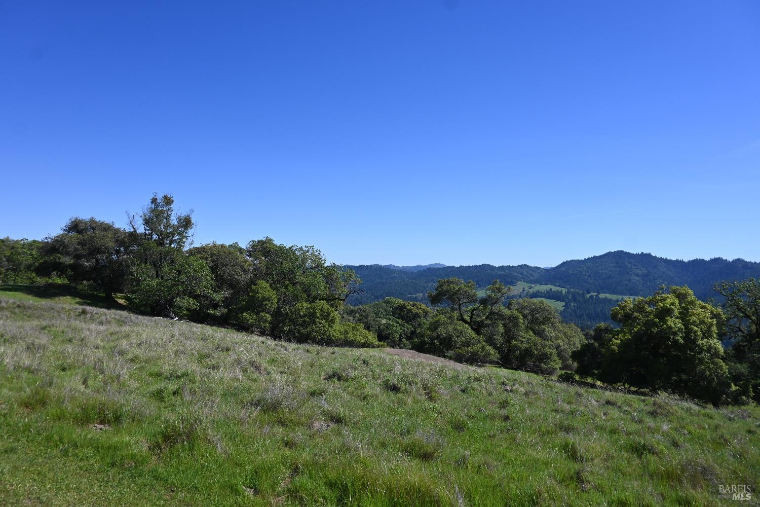 Detail Gallery Image 15 of 30 For 24051 Fig Tree Ln, Yorkville,  CA 95494 - – Beds | – Baths