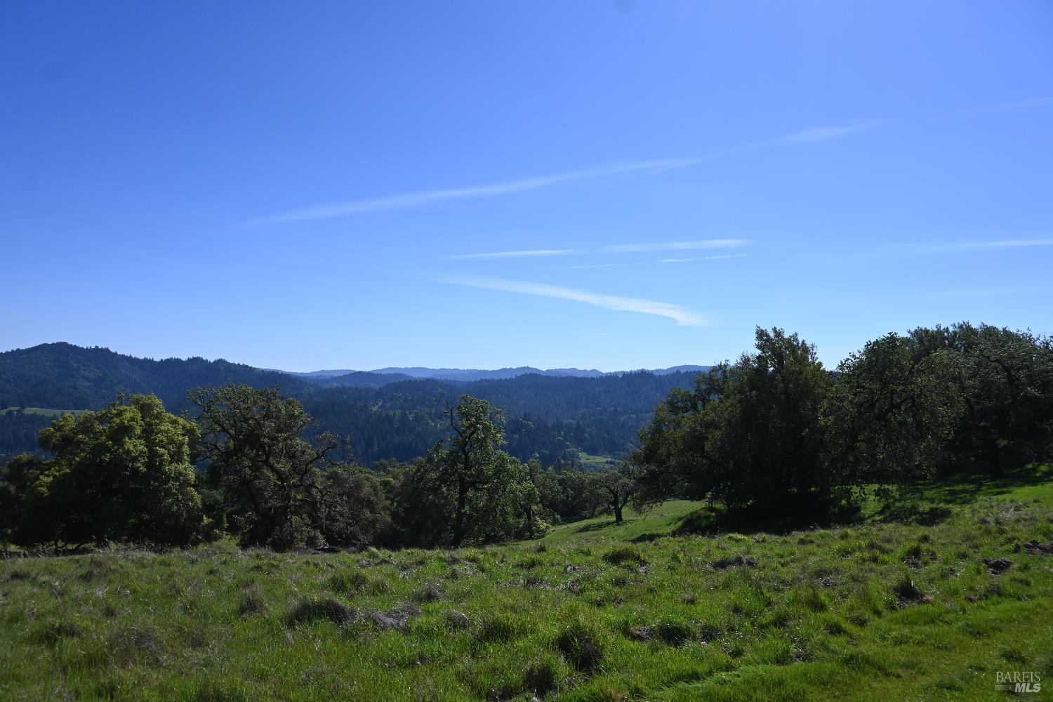 Detail Gallery Image 14 of 30 For 24051 Fig Tree Ln, Yorkville,  CA 95494 - – Beds | – Baths