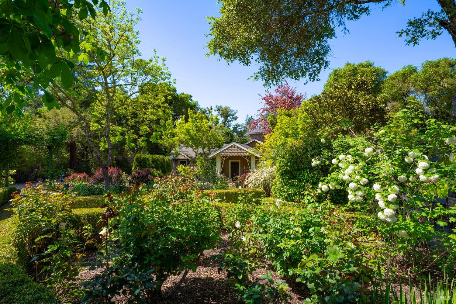 Detail Gallery Image 32 of 39 For 9000 Highway 128 Hwy, Philo,  CA 95466 - – Beds | – Baths