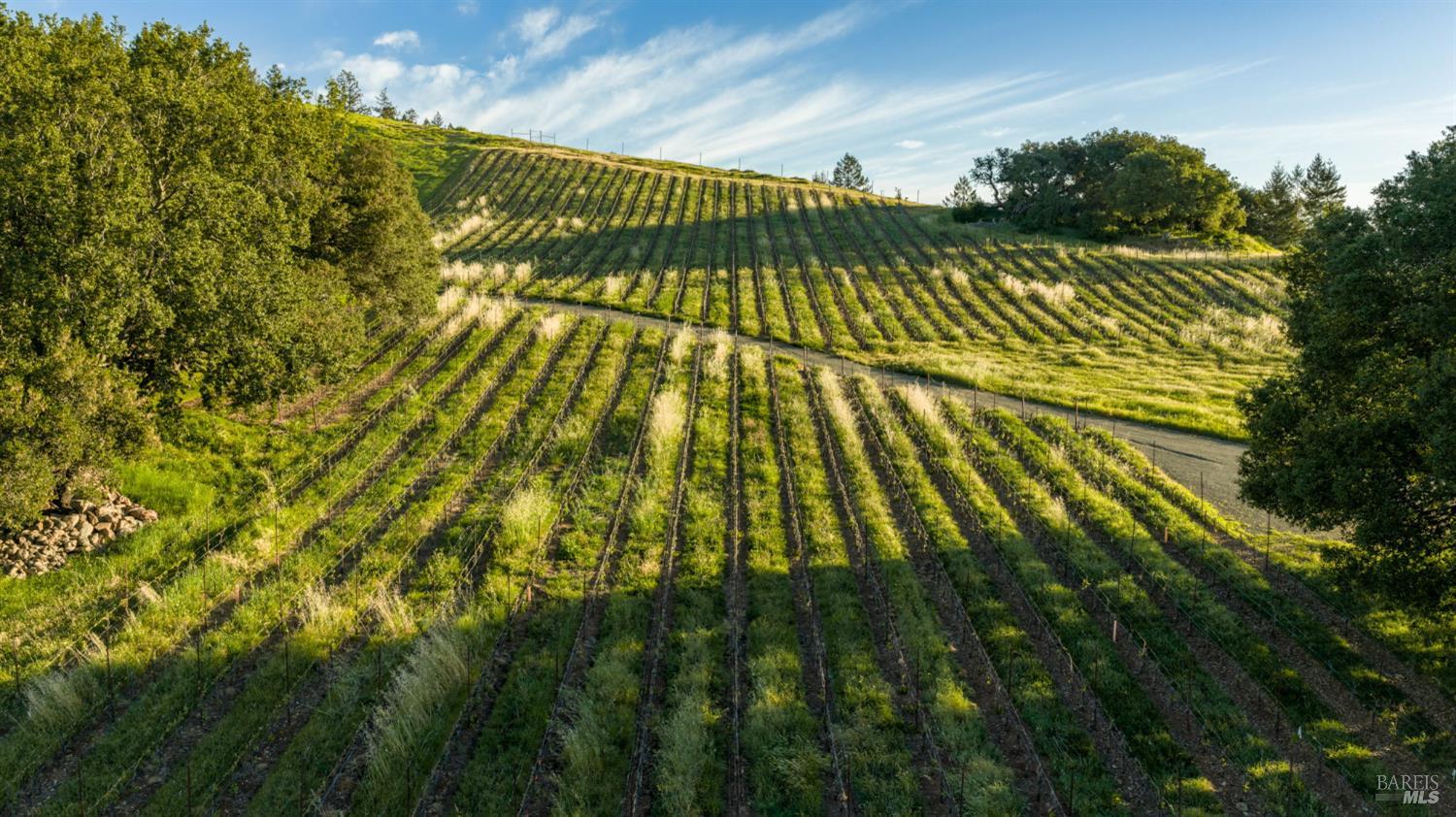 Detail Gallery Image 10 of 18 For 2155 Calistoga Rd, Santa Rosa,  CA 95404 - – Beds | – Baths