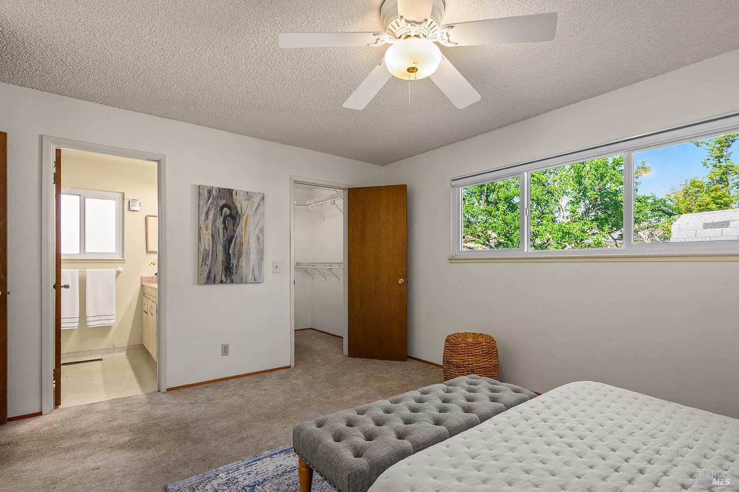 Detail Gallery Image 19 of 31 For 429 Eileen Dr, Sebastopol,  CA 95472 - 3 Beds | 2 Baths