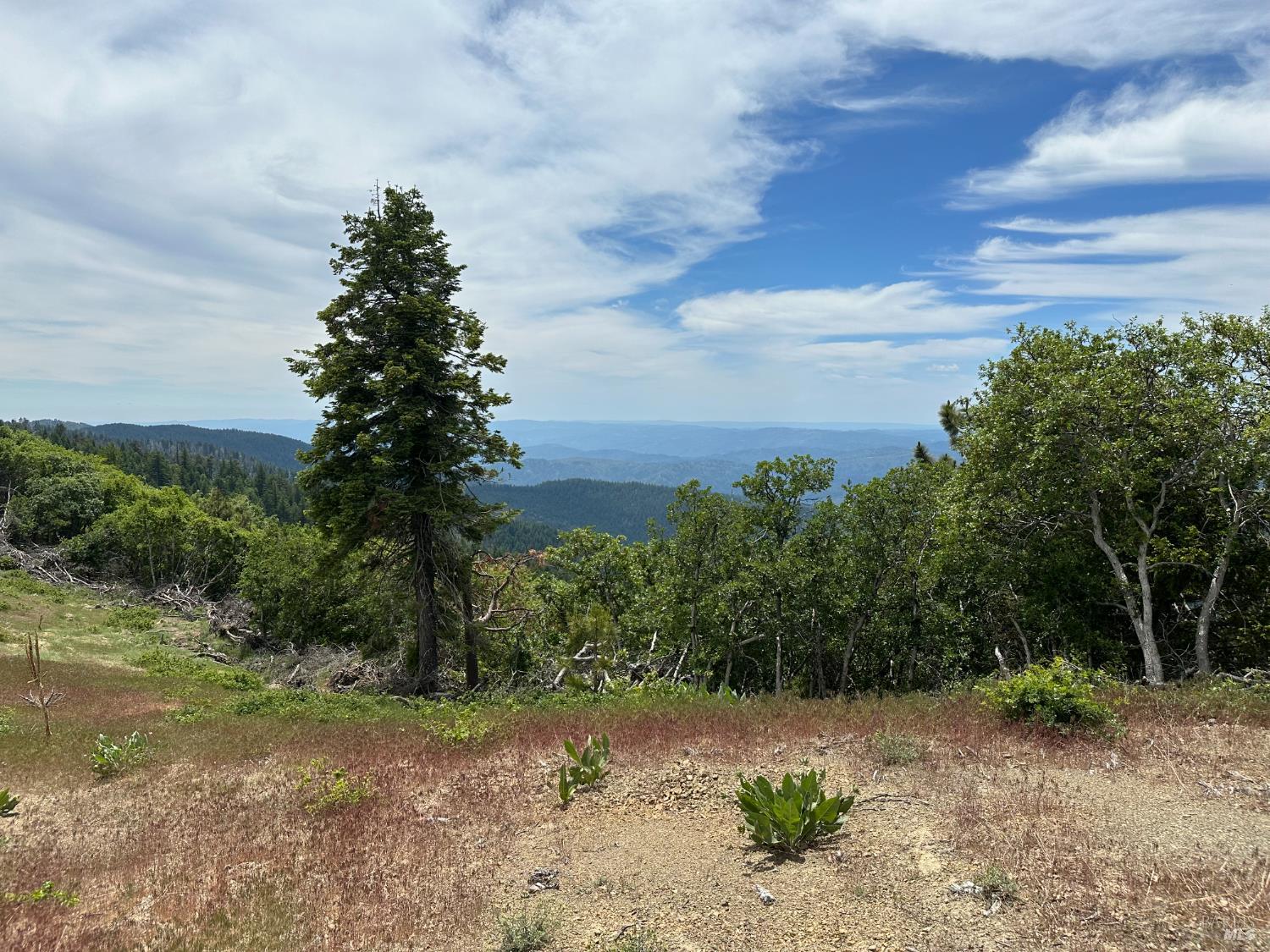 Detail Gallery Image 7 of 10 For 0 19n90 Rd, Potter Valley,  CA 95469 - – Beds | – Baths