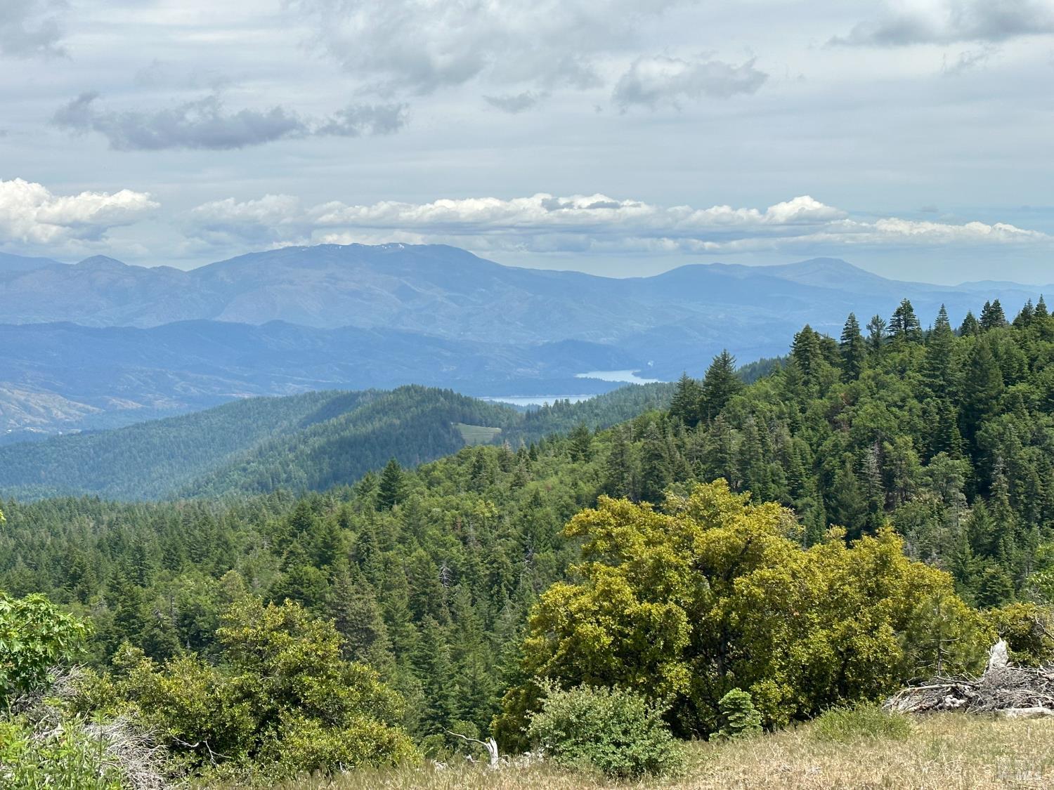 Detail Gallery Image 9 of 10 For 0 19n90 Rd, Potter Valley,  CA 95469 - – Beds | – Baths