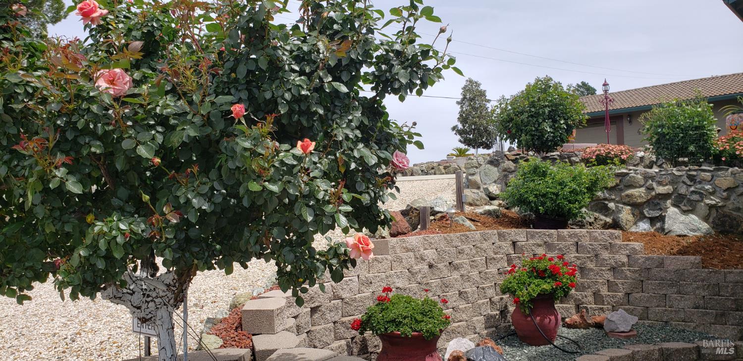 Detail Gallery Image 87 of 99 For 425 Lake Vista Dr, Lakeport,  CA 95453 - 3 Beds | 3/2 Baths