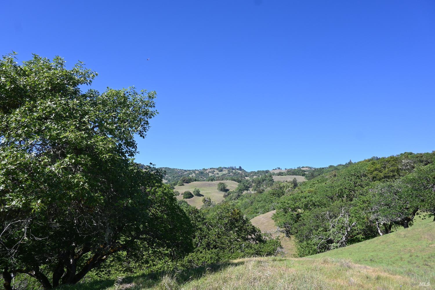 Detail Gallery Image 22 of 30 For 24051 Fig Tree Ln, Yorkville,  CA 95494 - – Beds | – Baths