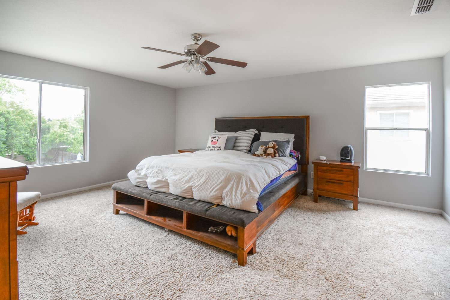 Detail Gallery Image 21 of 53 For 640 Ferguson Ct, Dixon,  CA 95620 - 4 Beds | 3/1 Baths