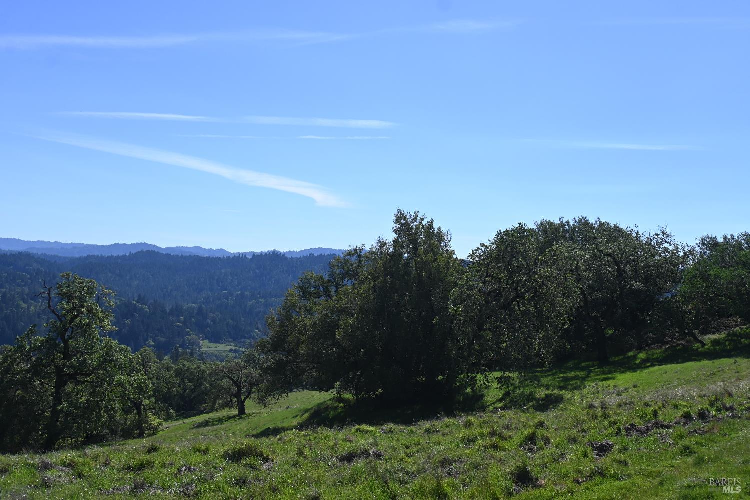 Detail Gallery Image 11 of 30 For 24051 Fig Tree Ln, Yorkville,  CA 95494 - – Beds | – Baths