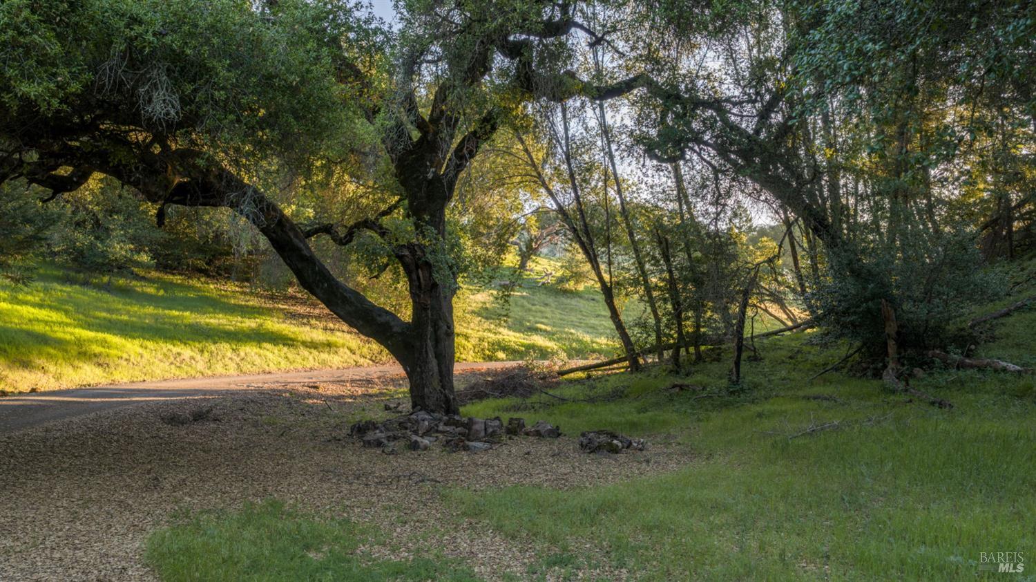 Detail Gallery Image 17 of 18 For 2155 Calistoga Rd, Santa Rosa,  CA 95404 - – Beds | – Baths