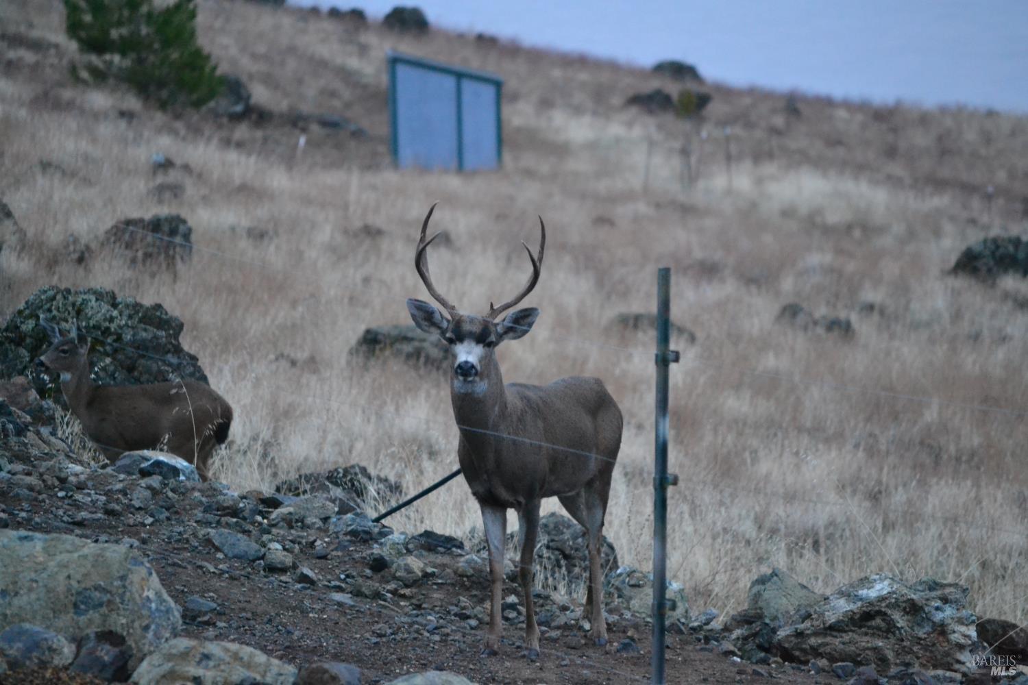 Detail Gallery Image 95 of 99 For 425 Lake Vista Dr, Lakeport,  CA 95453 - 3 Beds | 3/2 Baths