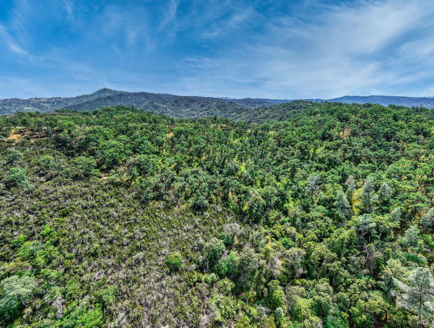 Detail Gallery Image 36 of 44 For 990 Junction Plz, Clearlake,  CA 95422 - – Beds | – Baths