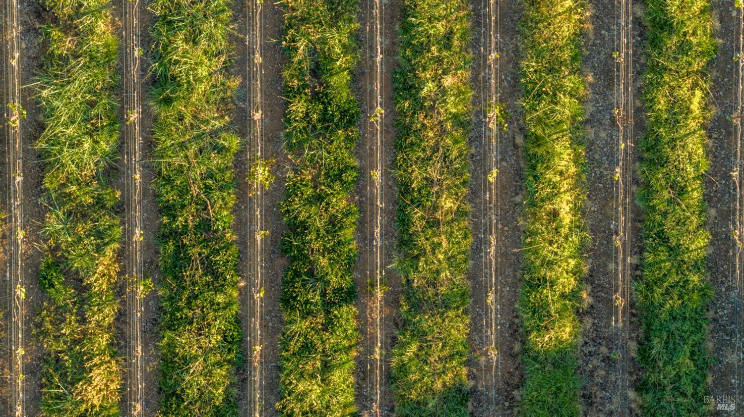 Detail Gallery Image 11 of 18 For 2155 Calistoga Rd, Santa Rosa,  CA 95404 - – Beds | – Baths