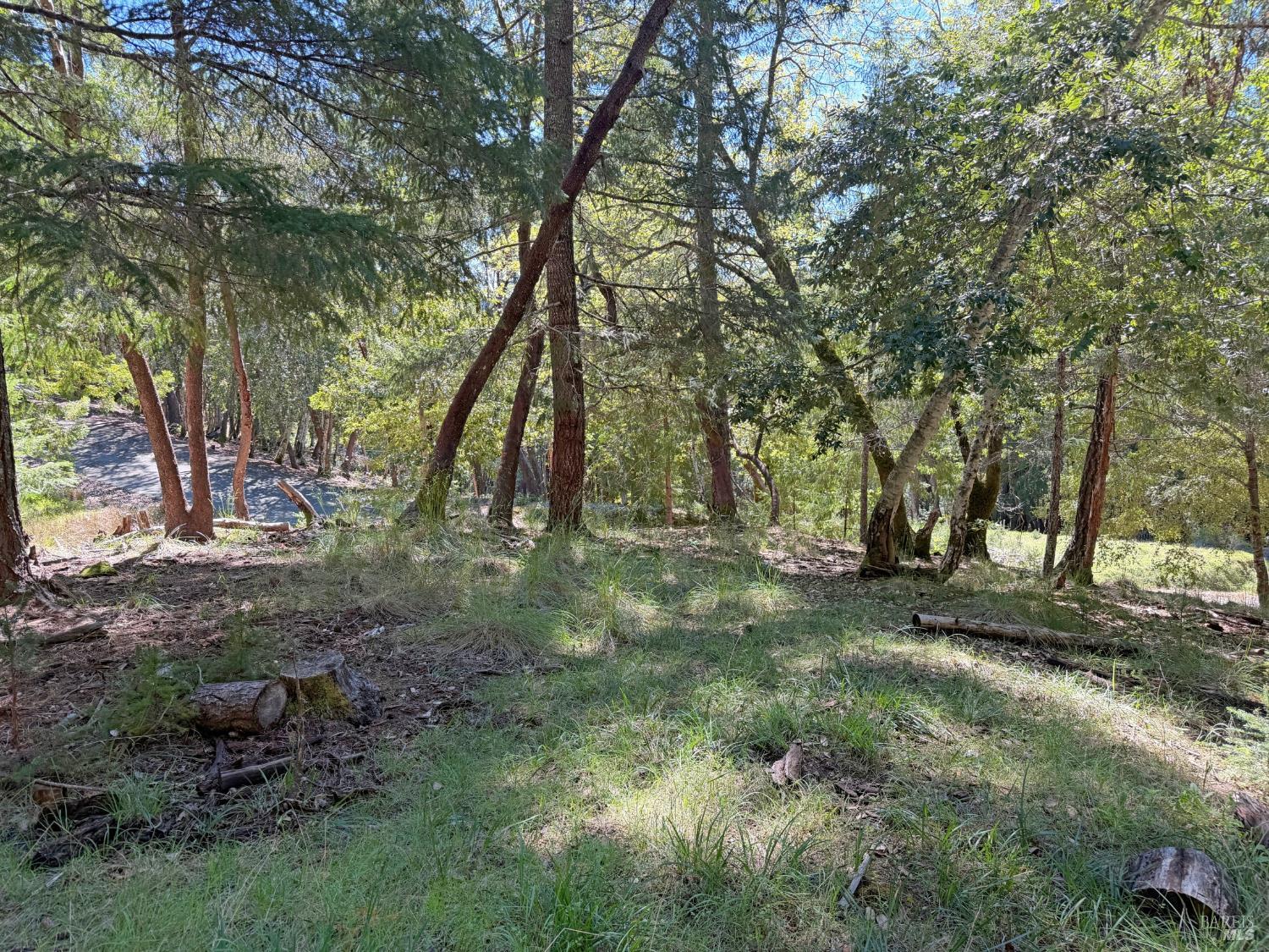 Front Image Thumbnail for BA326027214