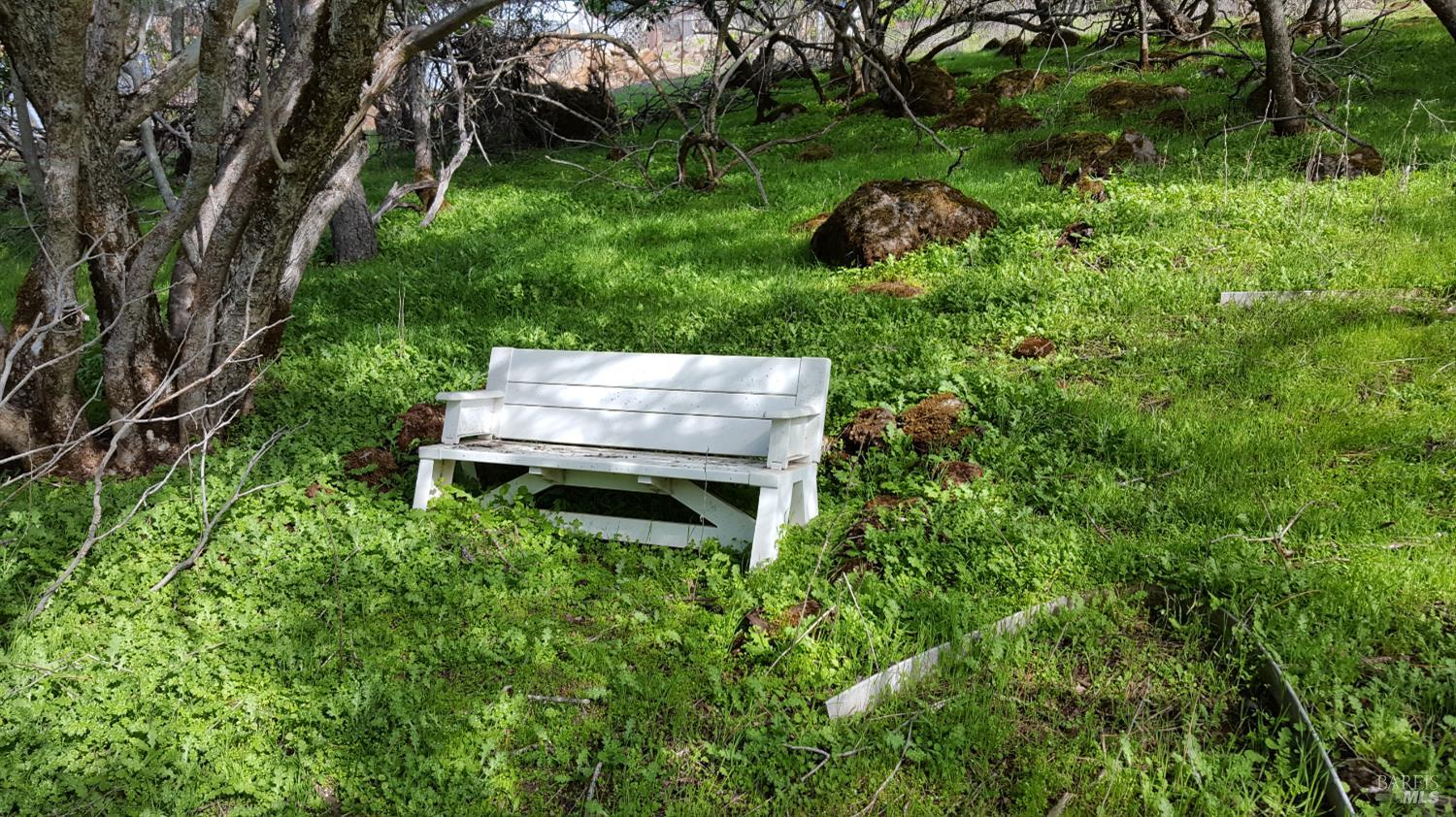 Detail Gallery Image 57 of 61 For 13017 Park Dr, Lower Lake,  CA 95457 - 3 Beds | 2 Baths