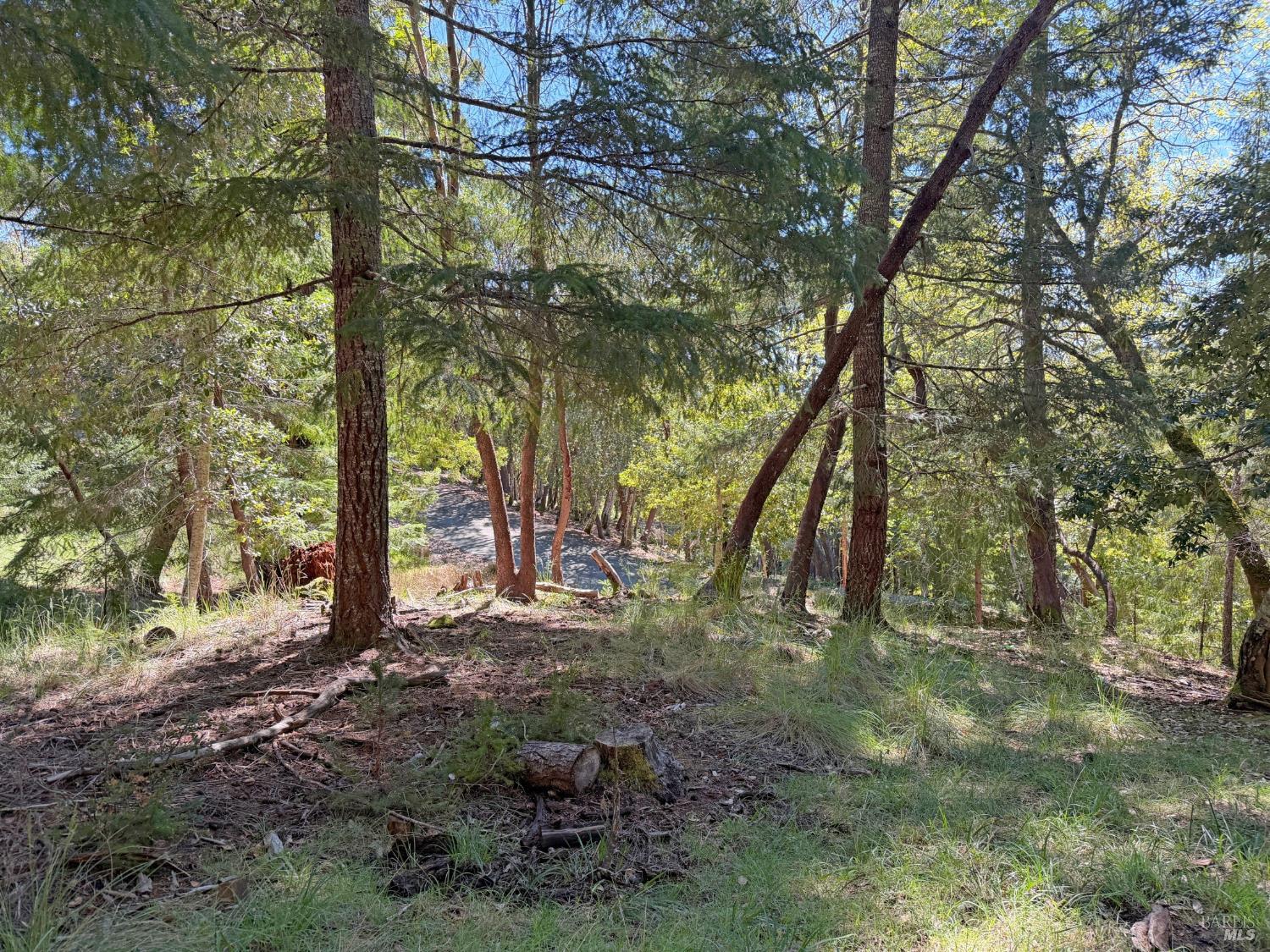 Detail Gallery Image 6 of 12 For 25940 Poppy Pl, Willits,  CA 95490 - – Beds | – Baths